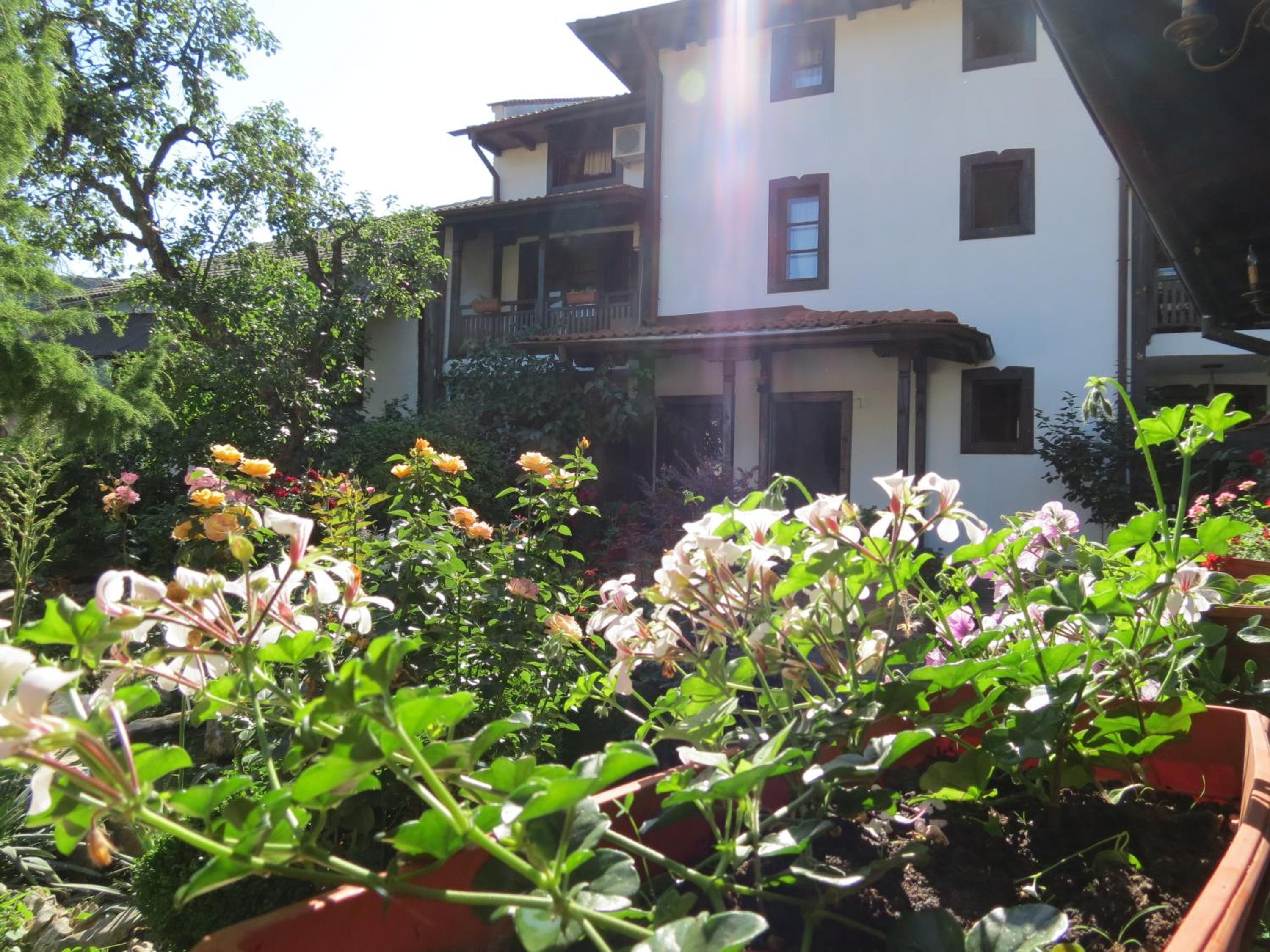 Oazis Guesthouse