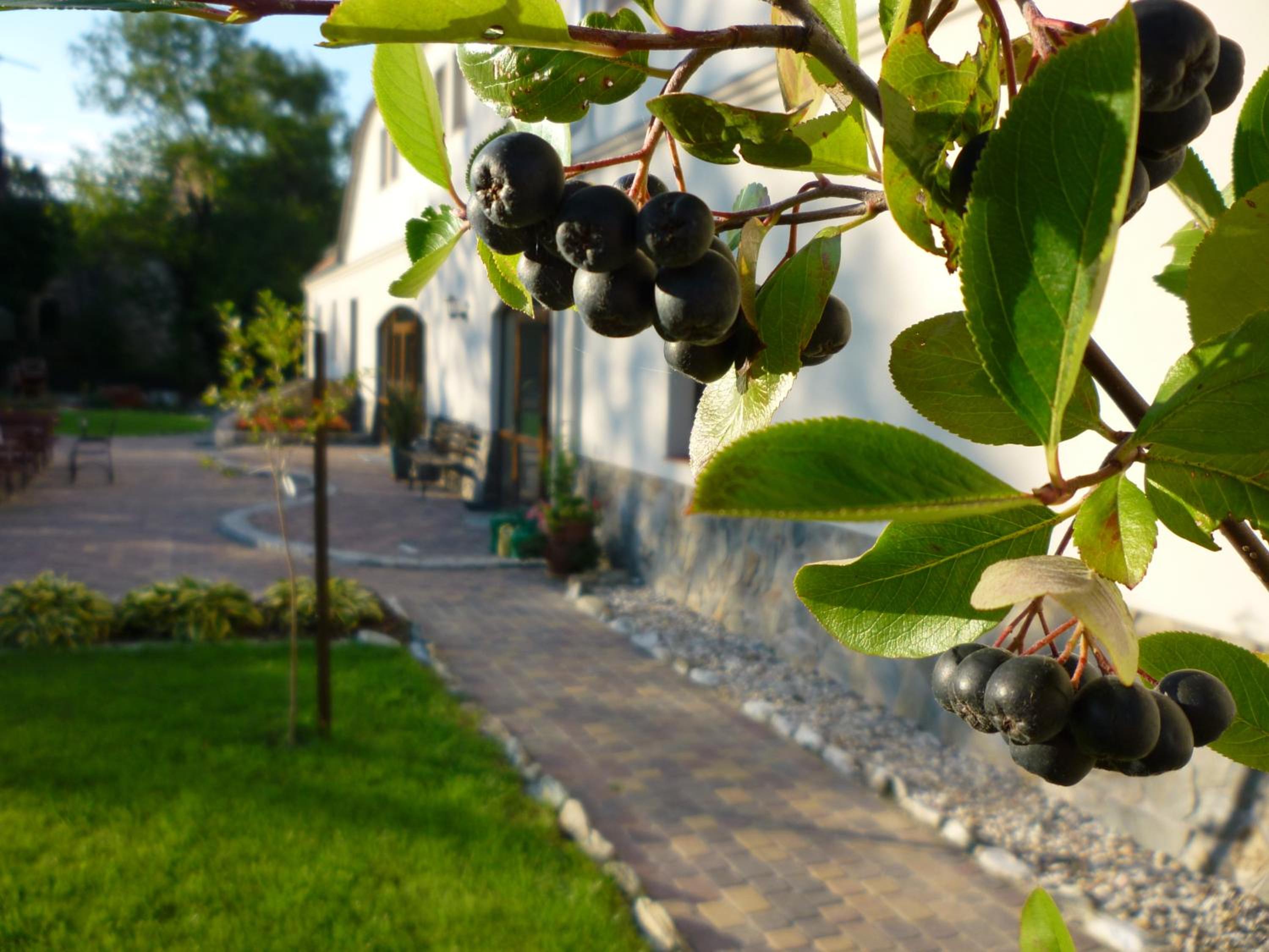 Photo 43