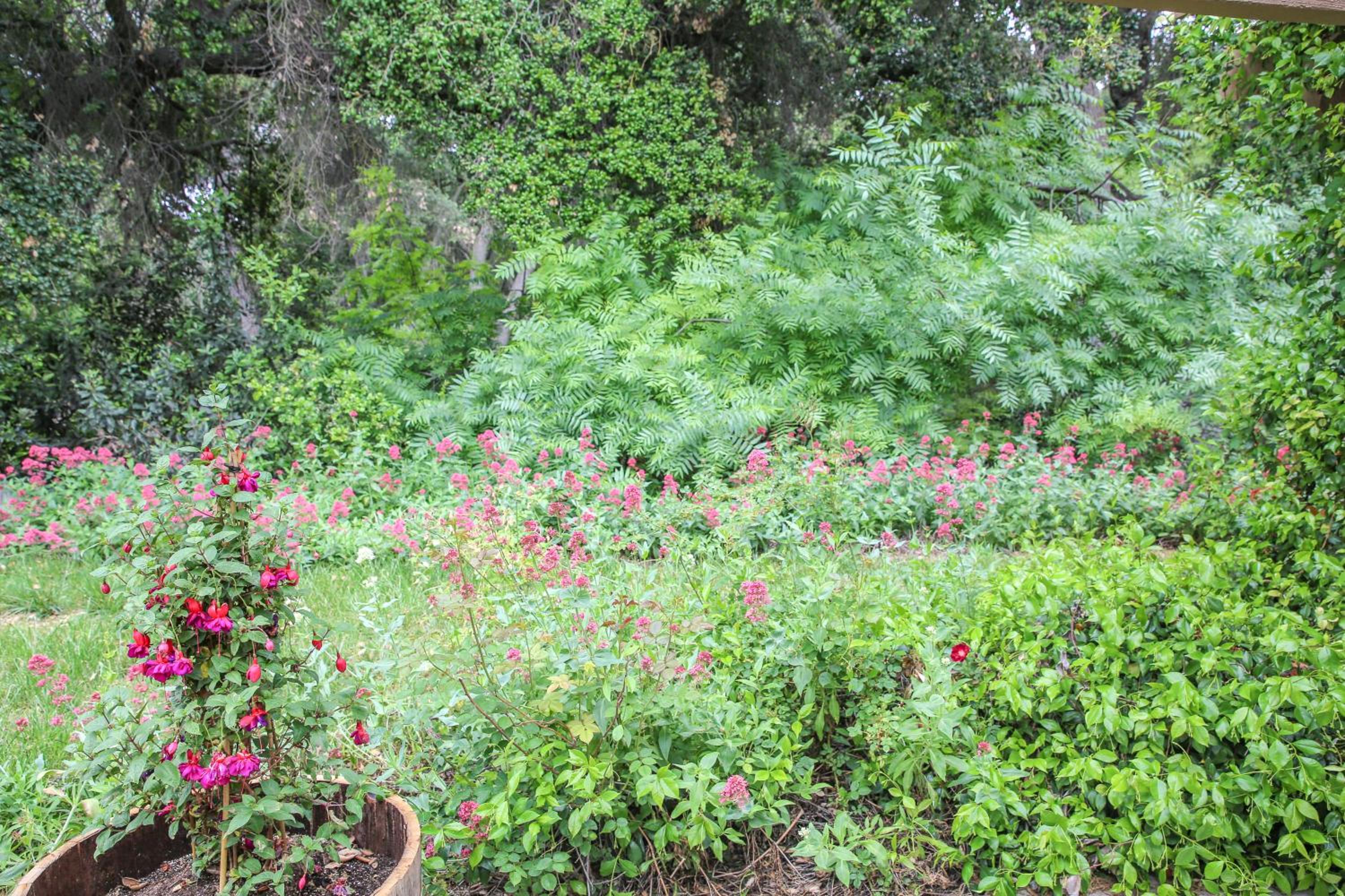 The Eden House Vineyard