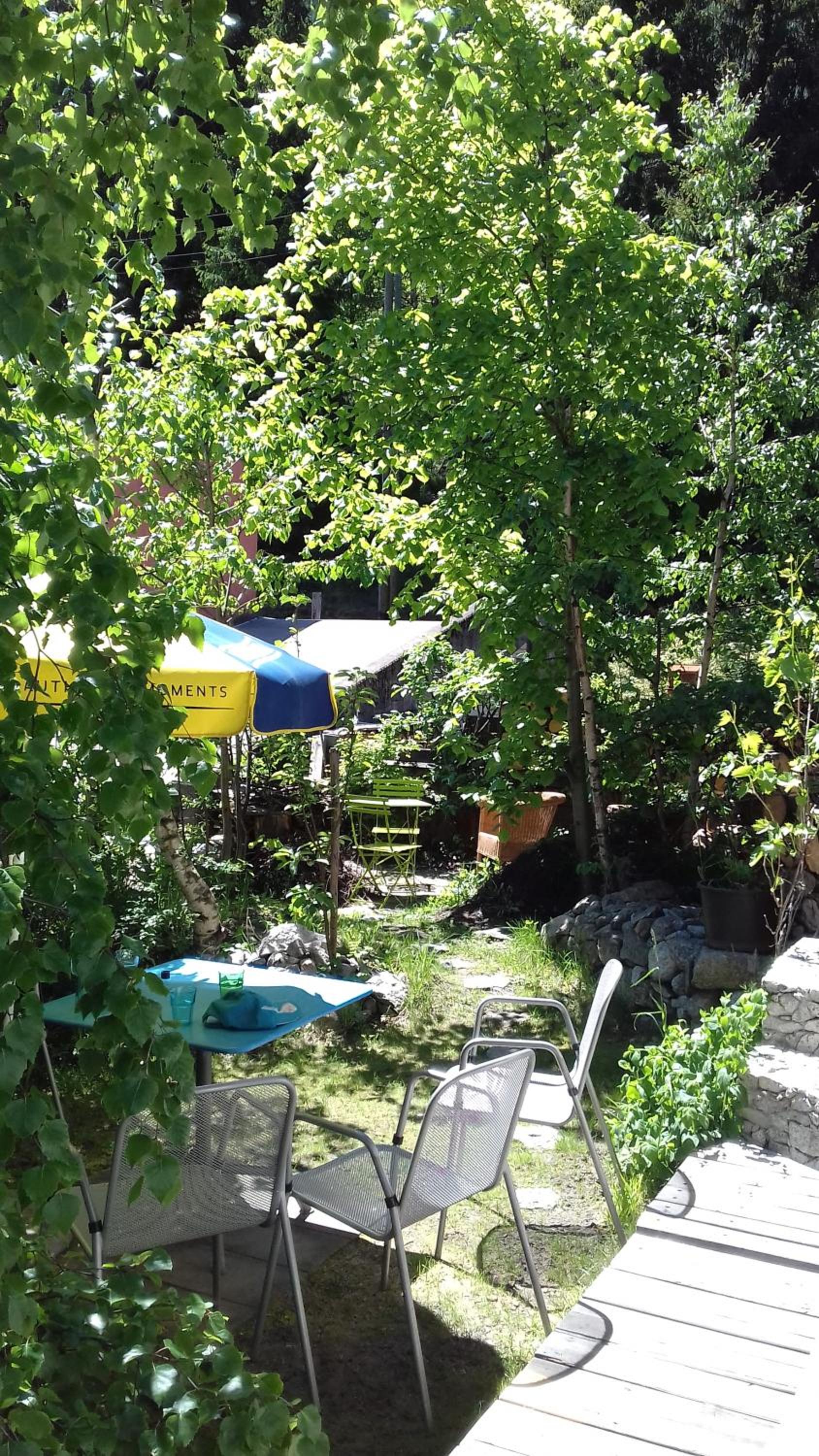Photo 26