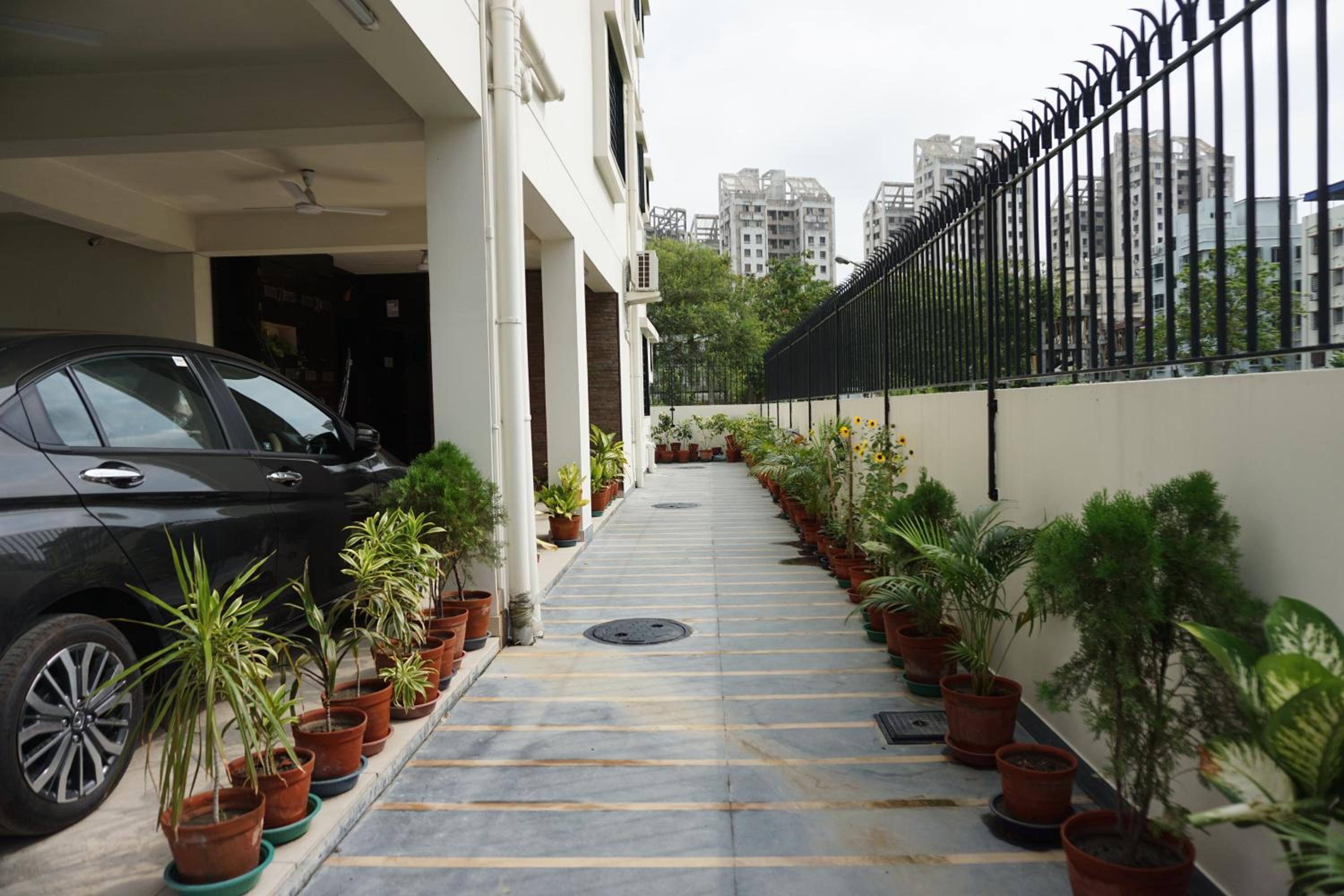 Rama Golden Root New town