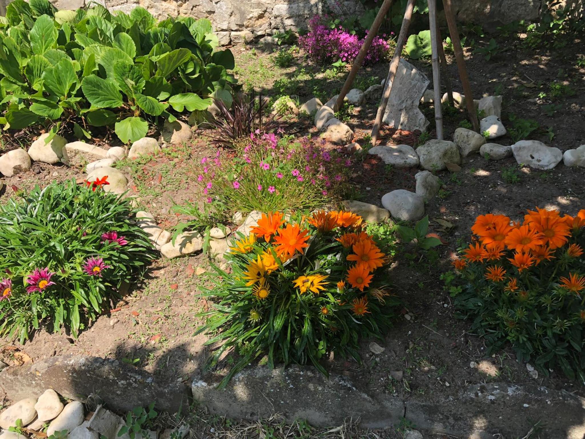 Photo 6