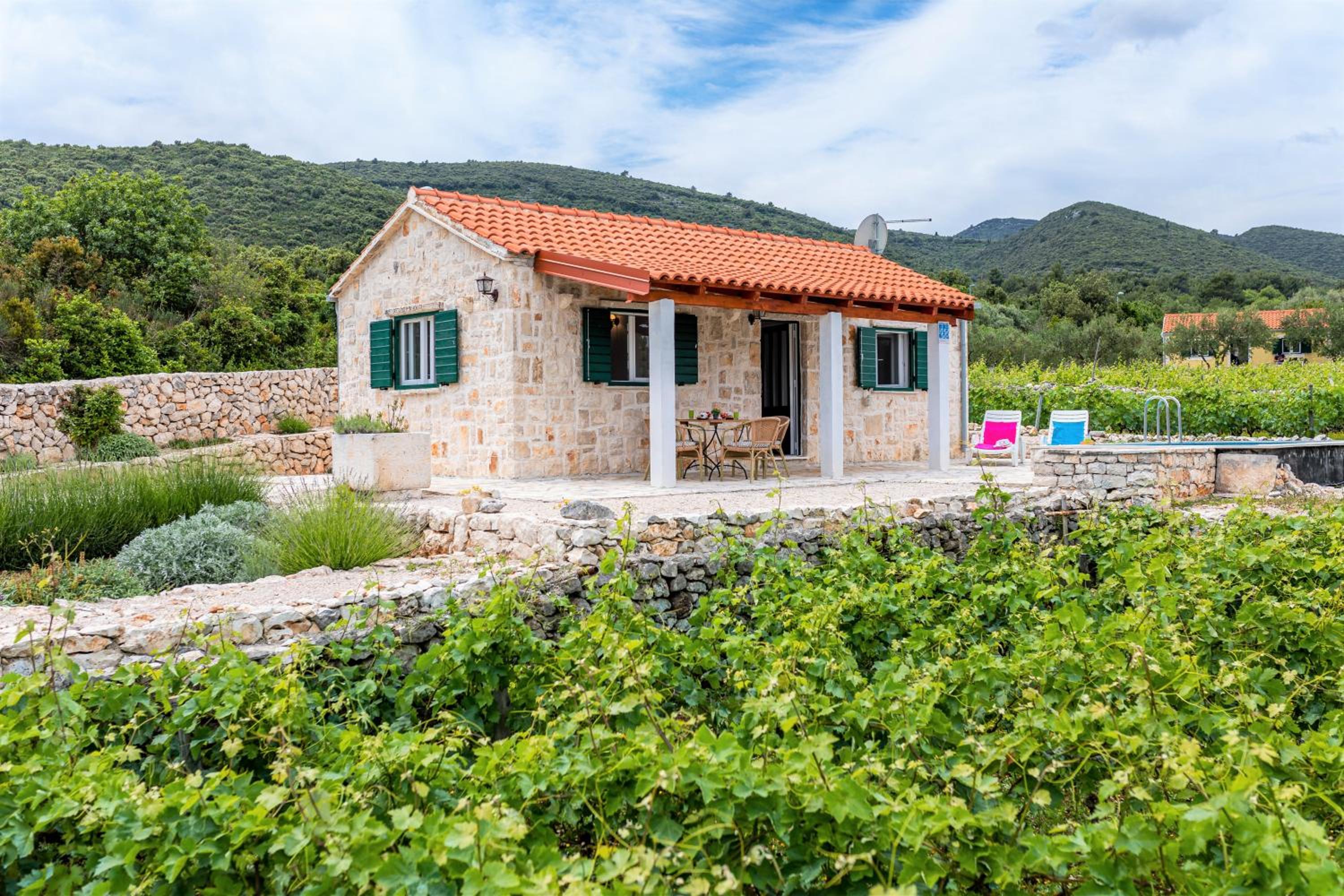 Vineyard House & Olive Grove House
