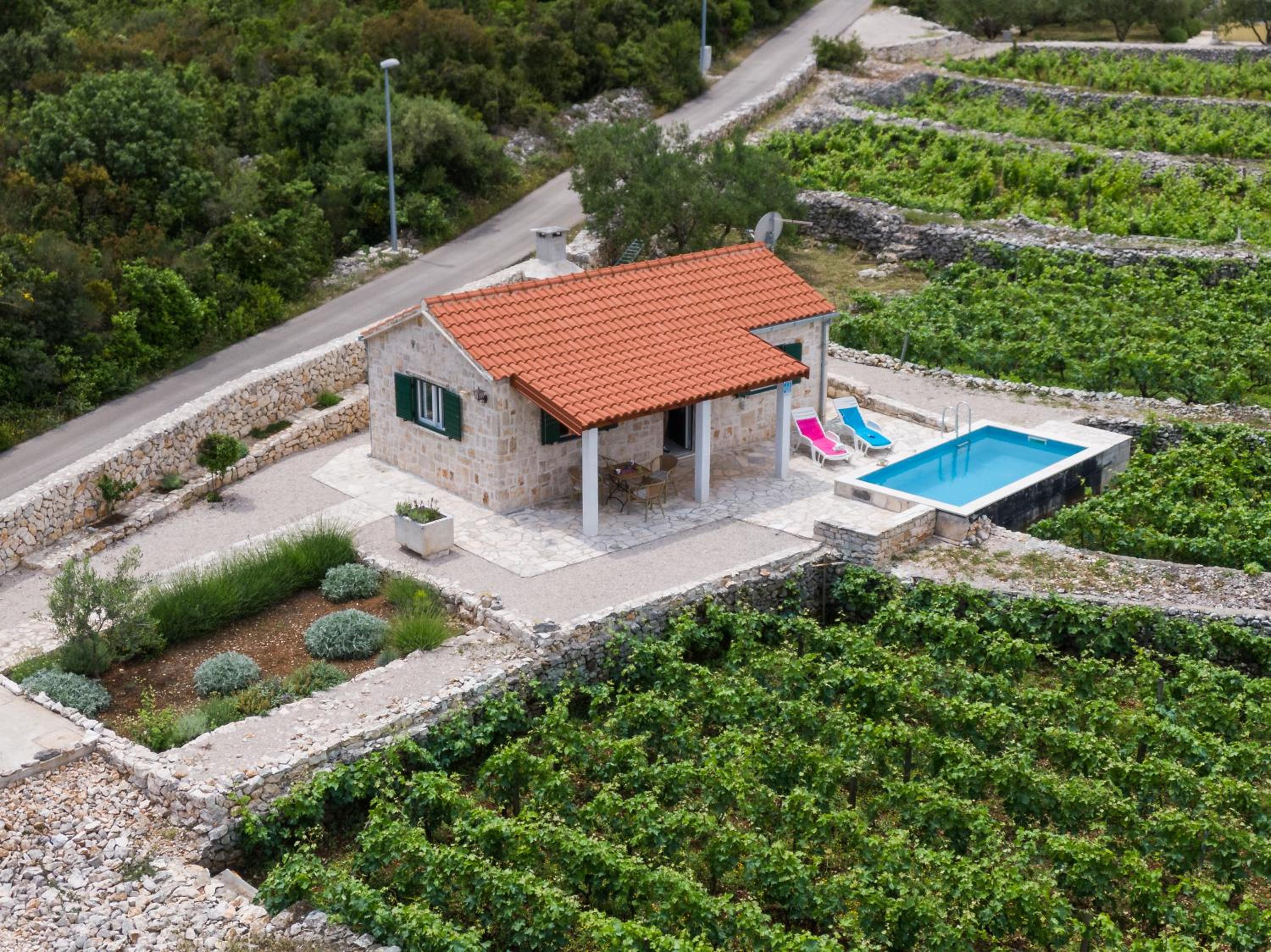 Vineyard House & Olive Grove House