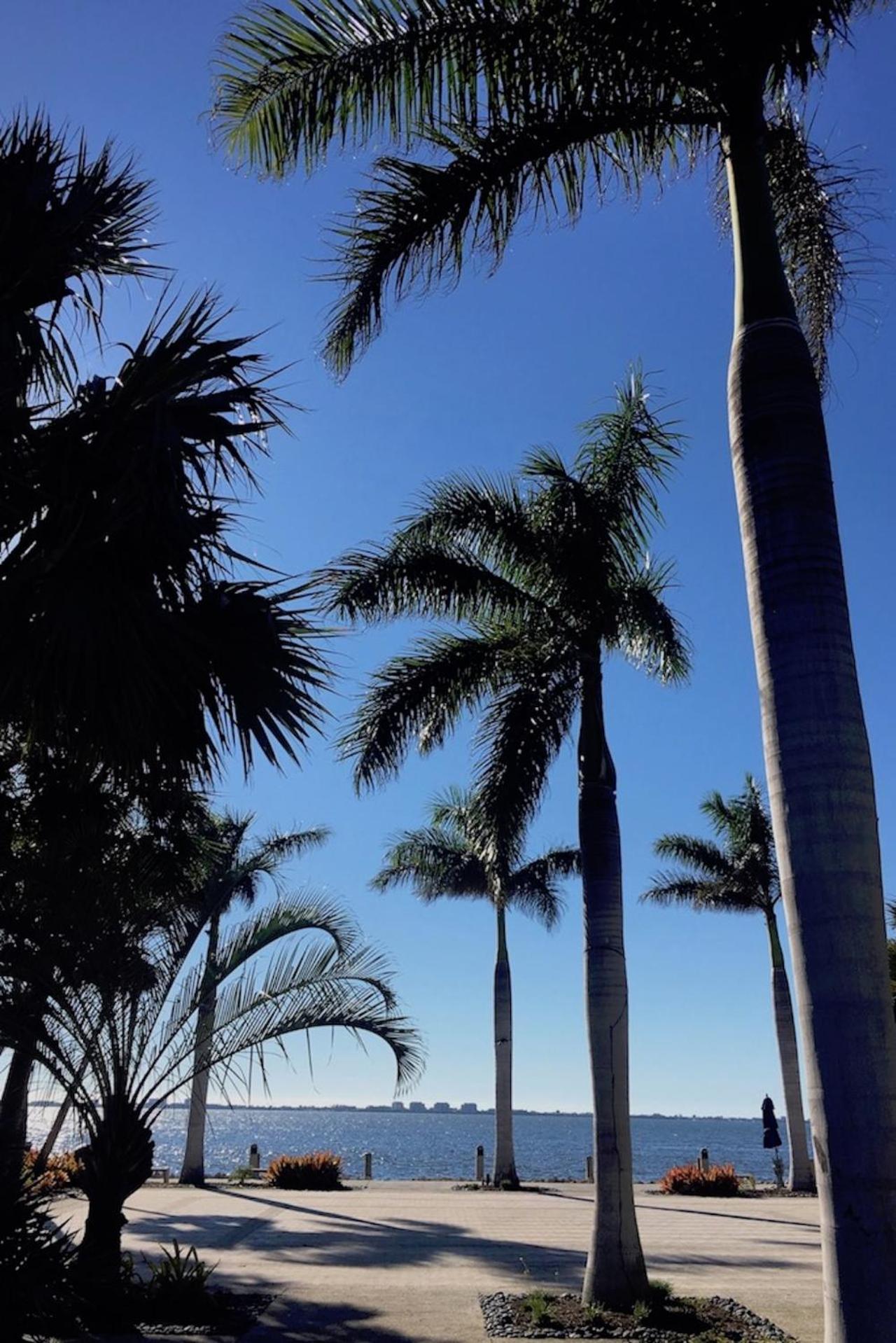 Near Beaches & IMG Academy, Mins to Downtown view 5