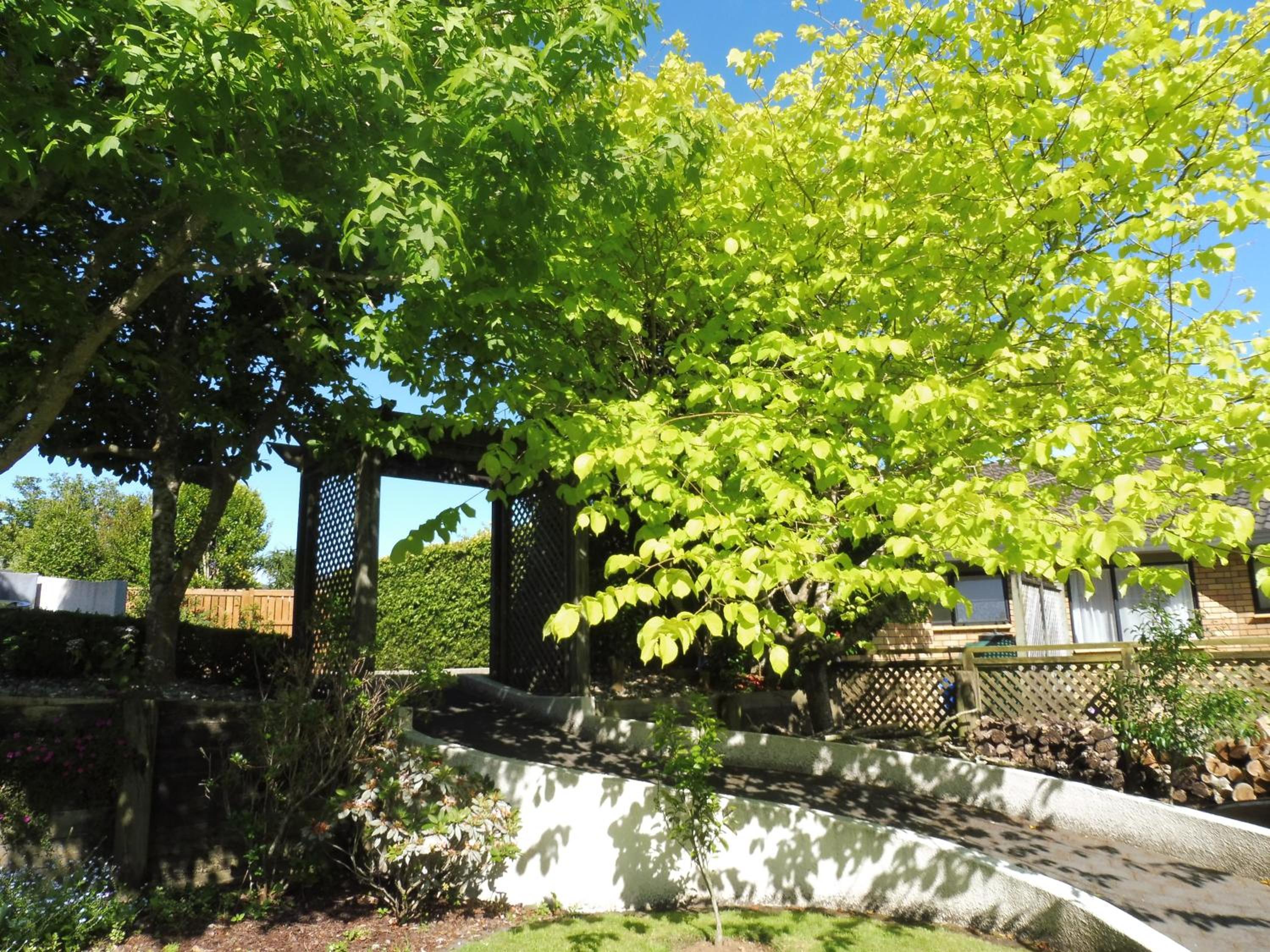 Photo 14