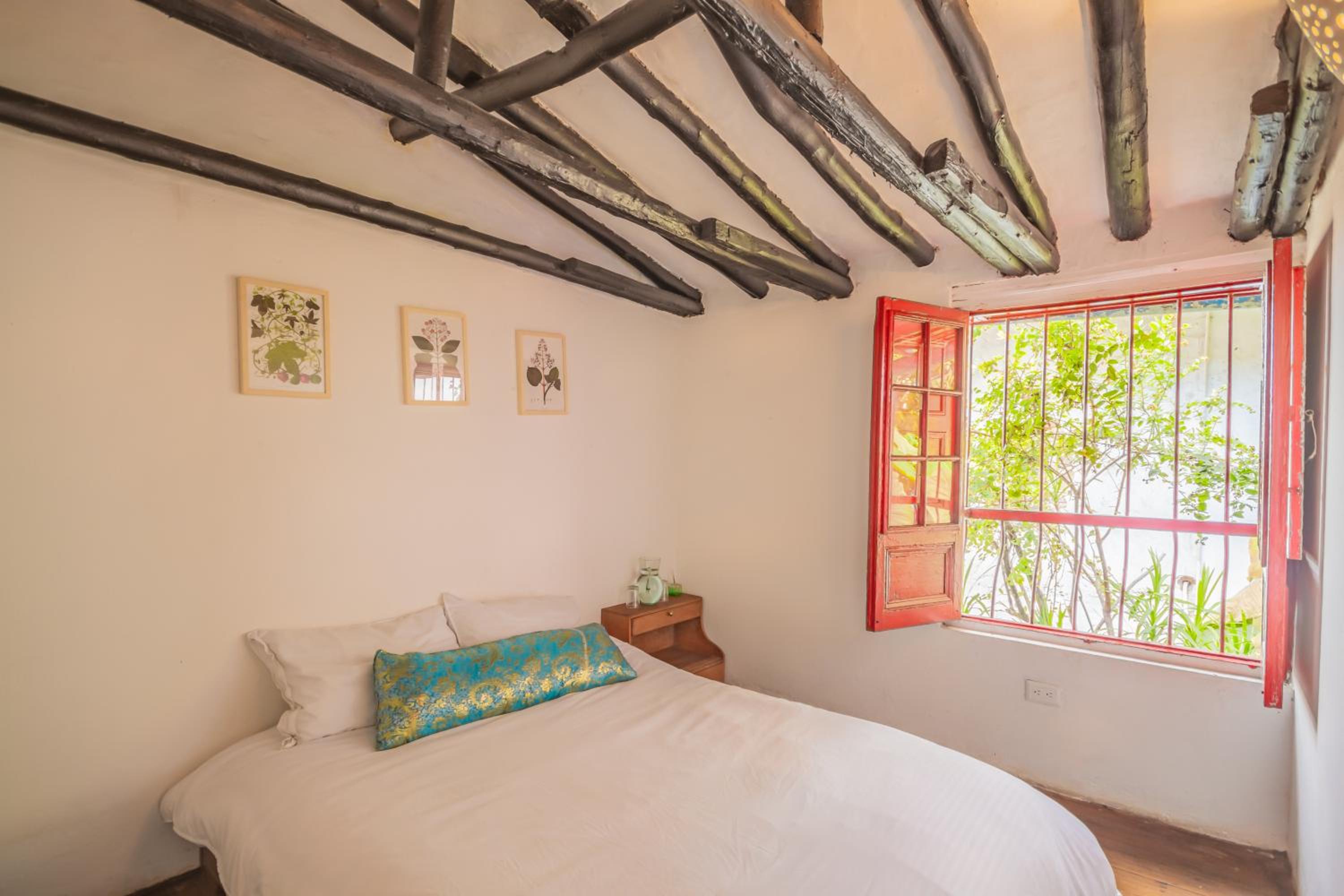 Botanico Hostel view 4