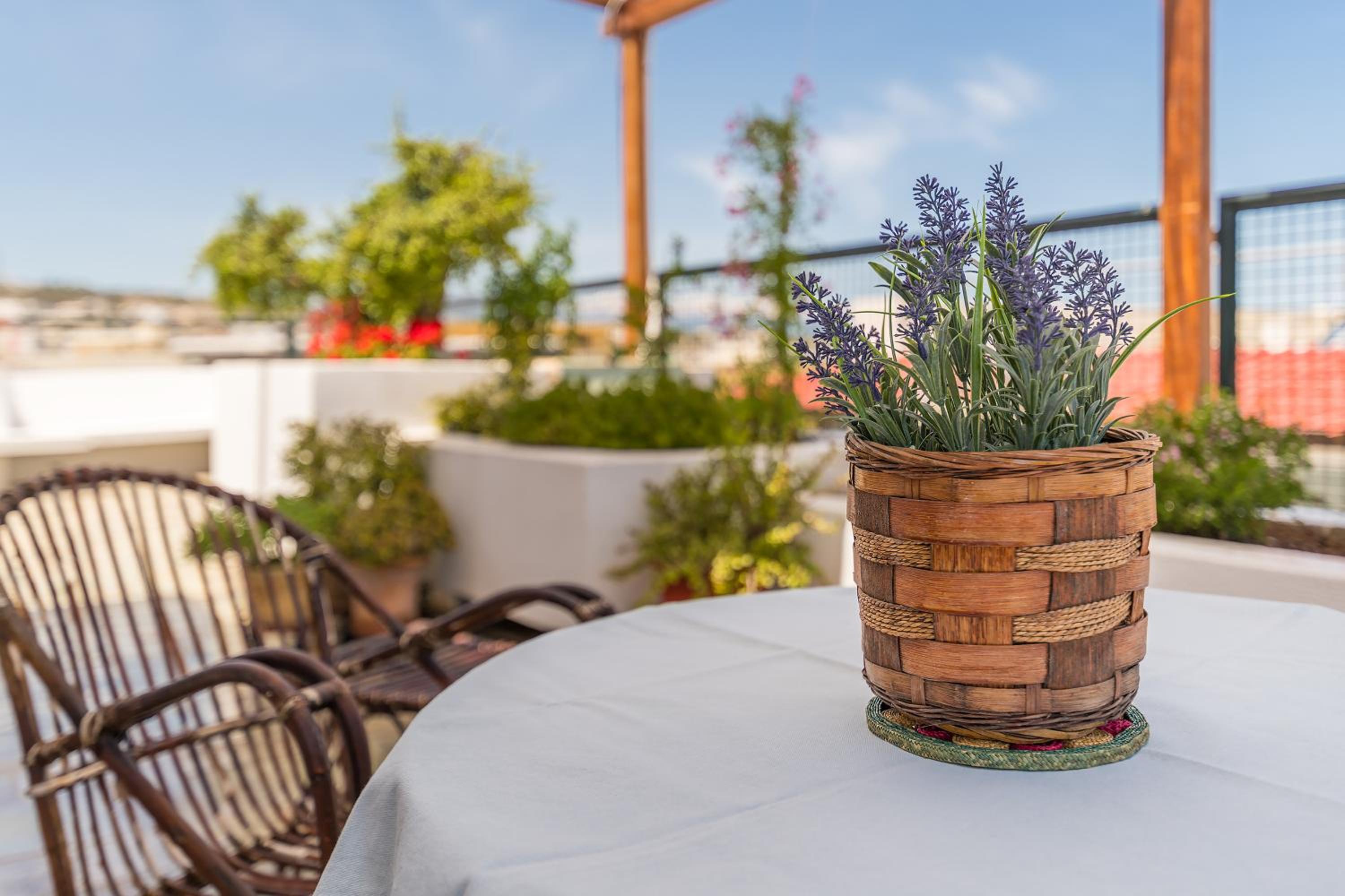 balance & terrace