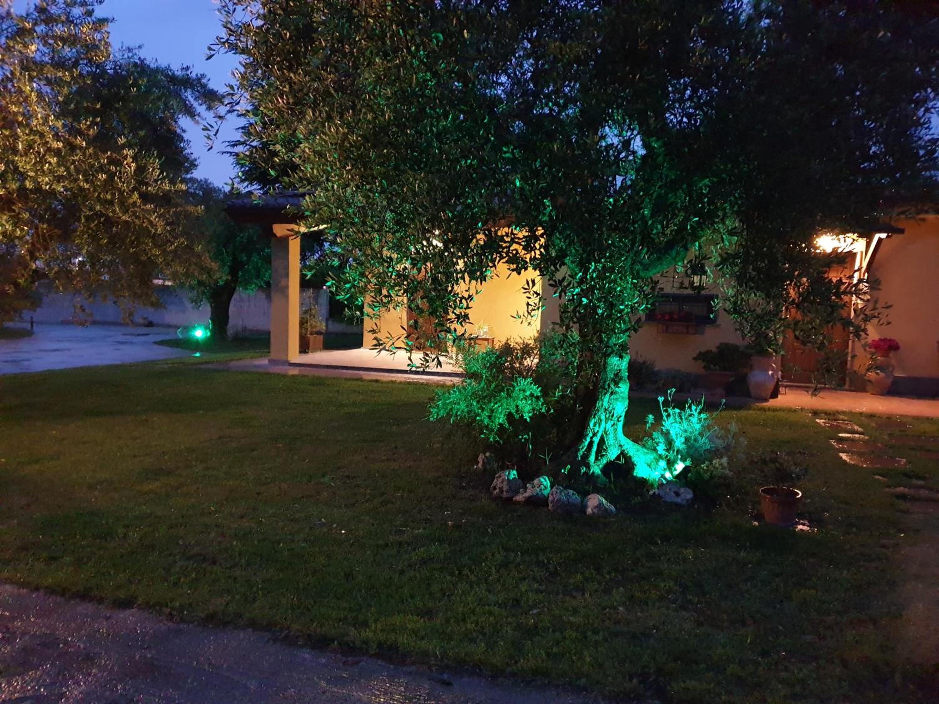 Photo 23