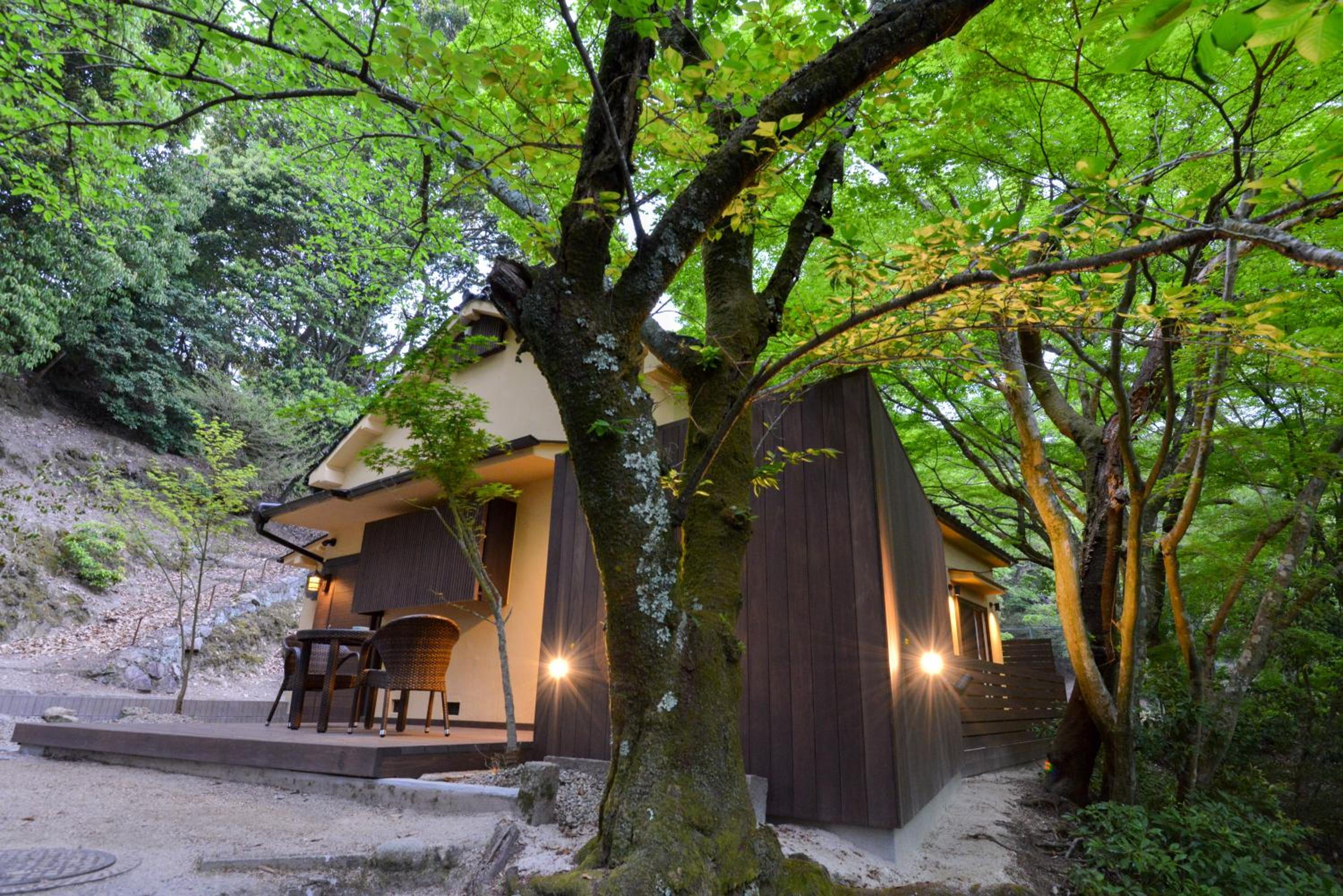 Villa Hamorebi view 4