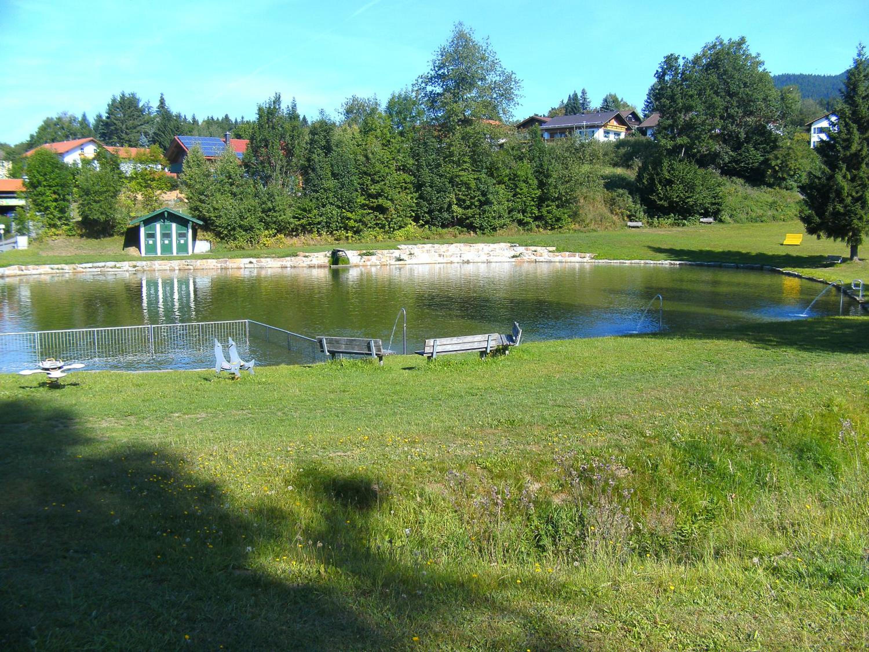Photo 44