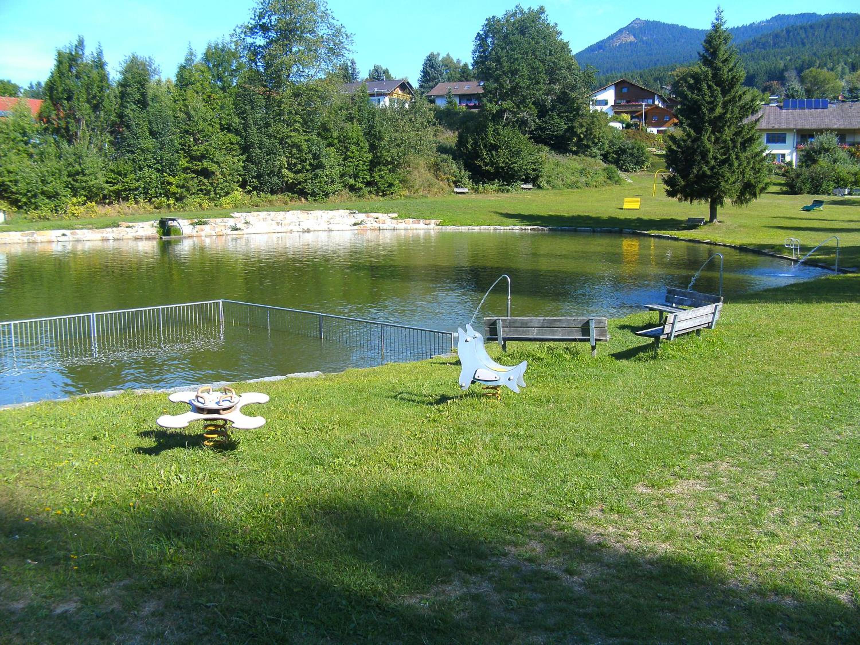 Photo 43
