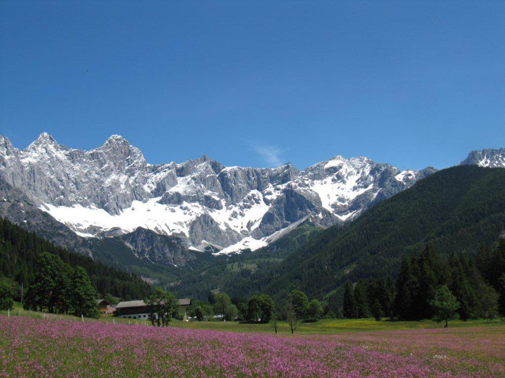 Feriengut Lackenhof