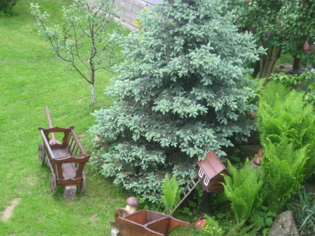 Photo 26