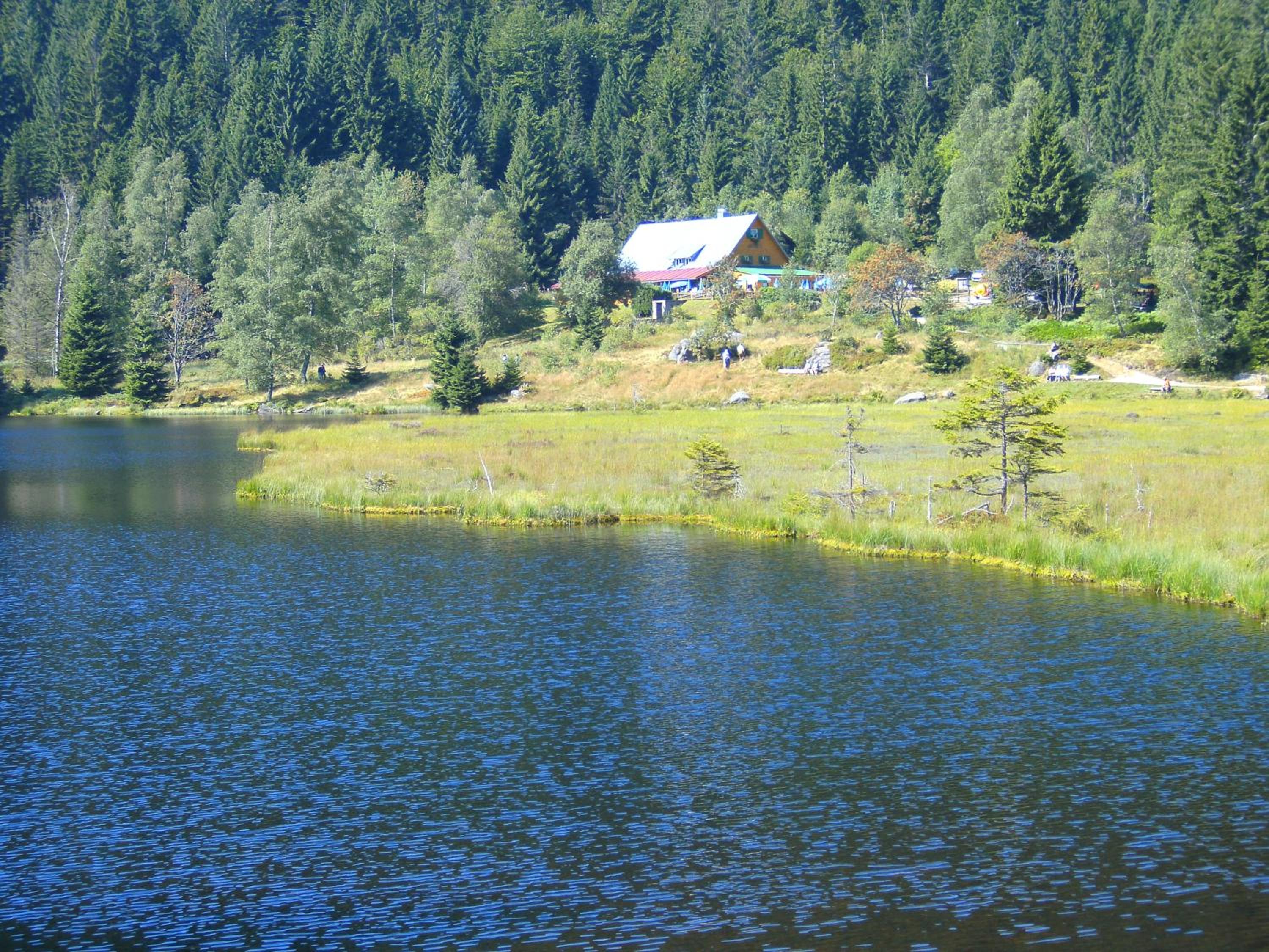 Photo 40