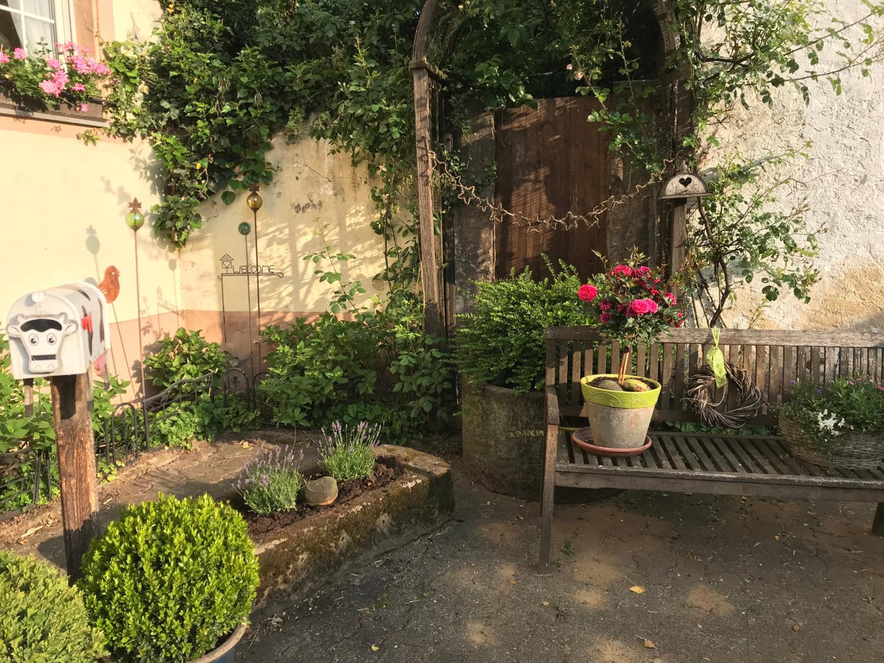 Photo 21