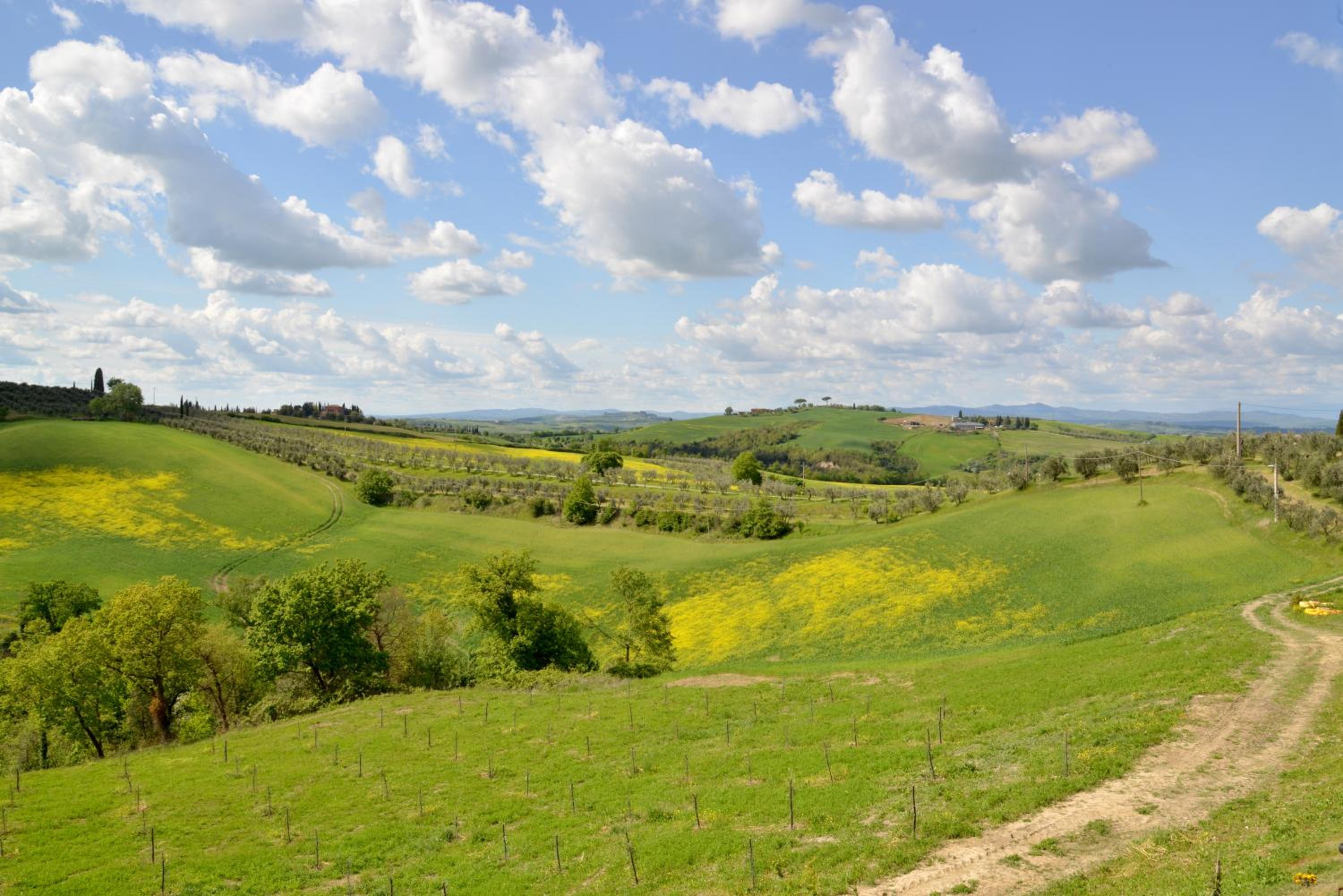 Agriturismo Mocine