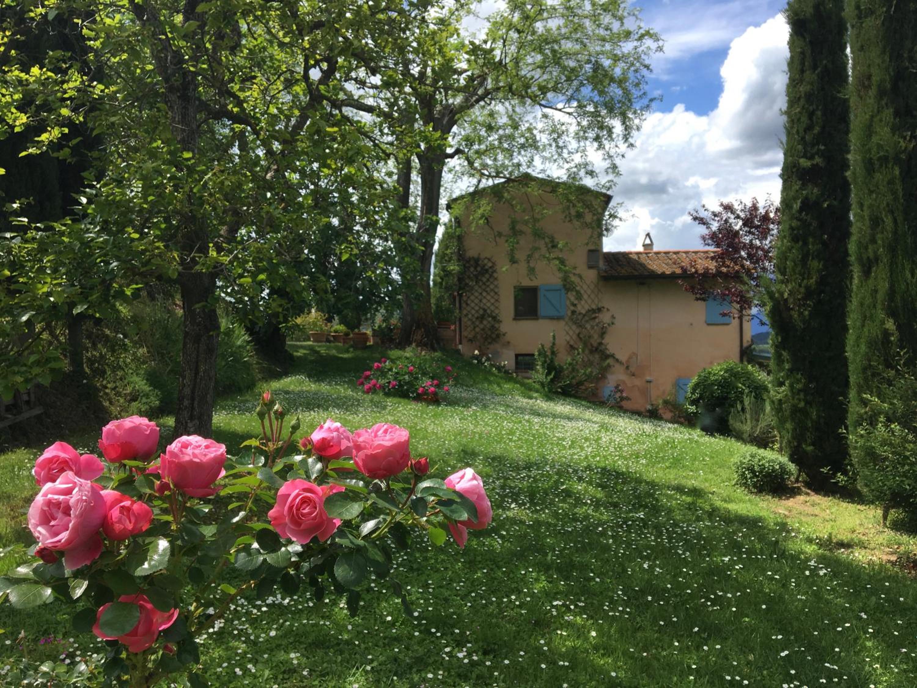 Photo 21