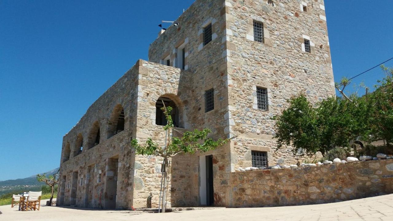 Pogonitsa