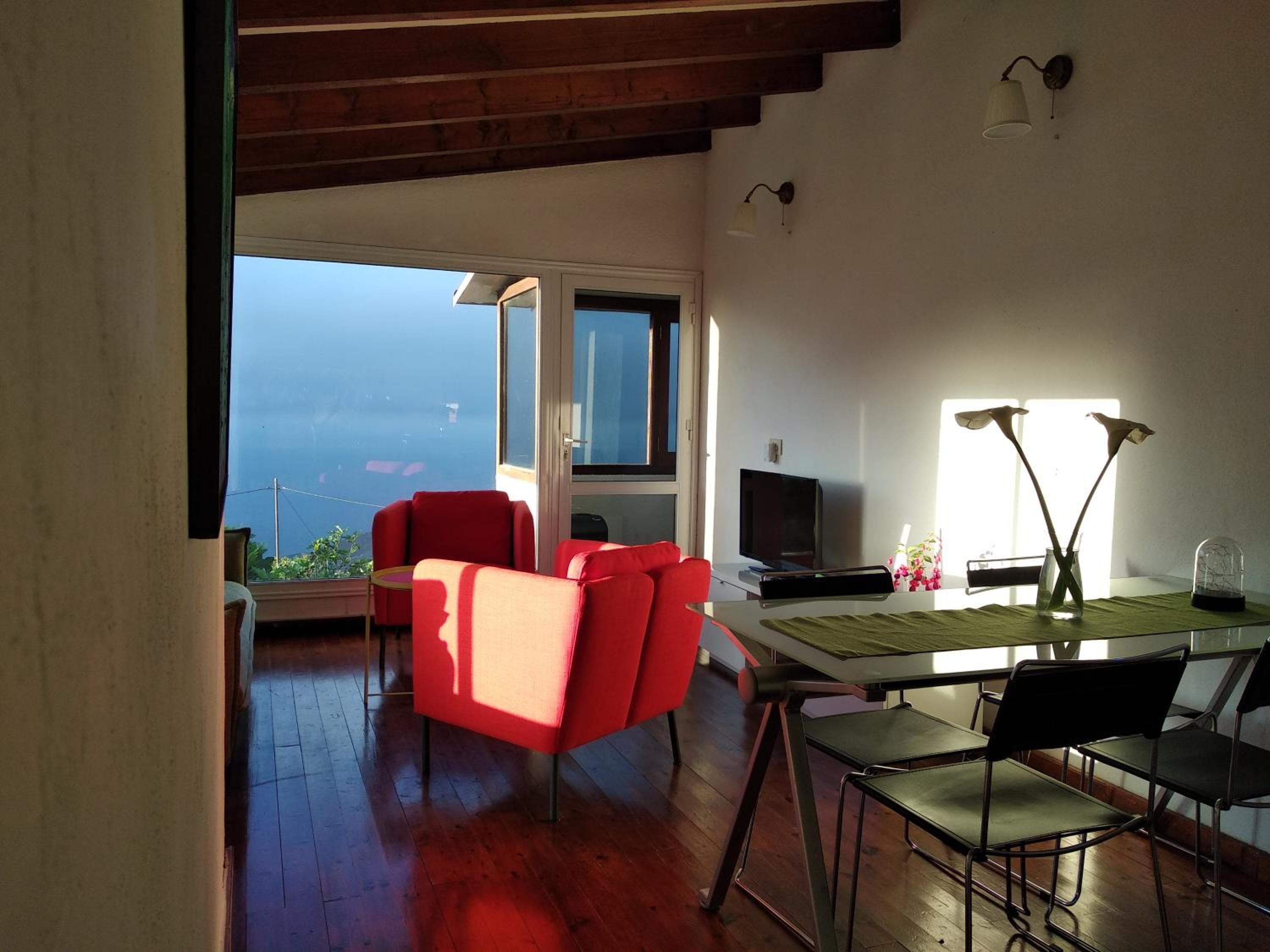 Dos Violetas view 4