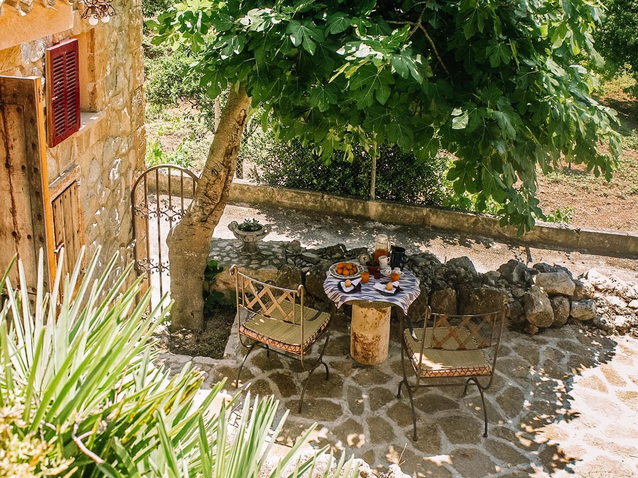 Finca Ses Fontanelles view 5