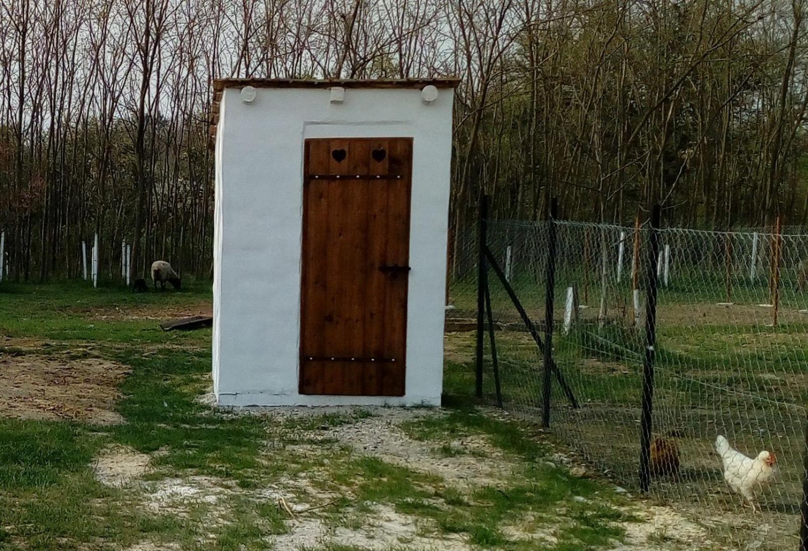 Photo 22