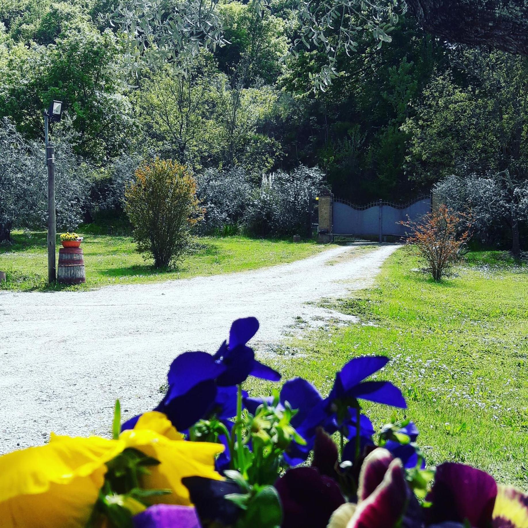 La casa di Eva view 4