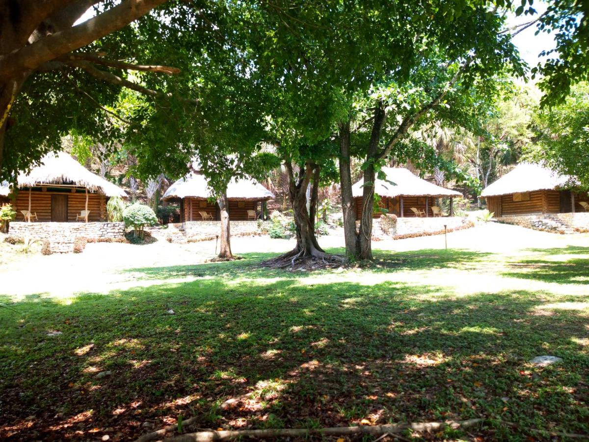 Photo 8
