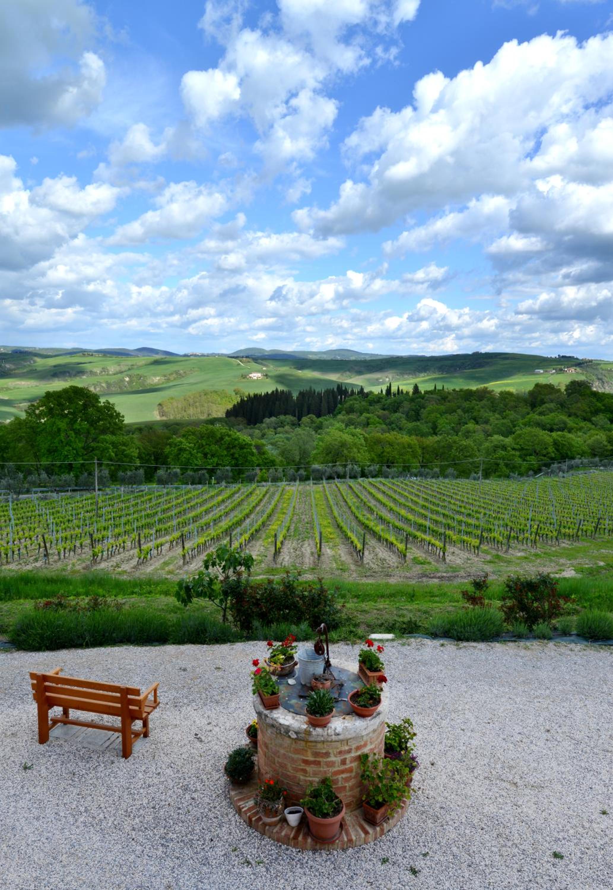Agriturismo Mocine