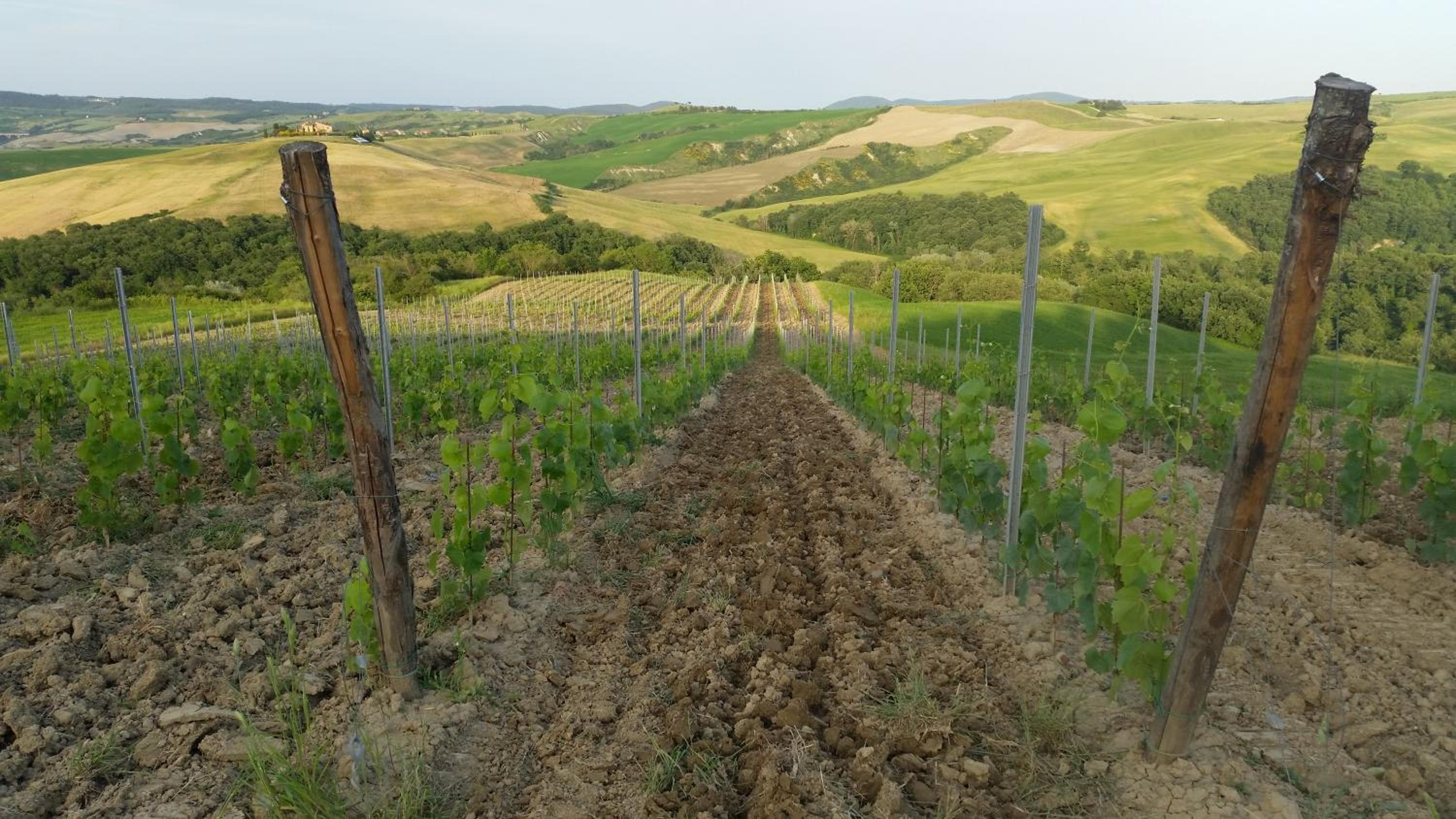 Agriturismo Mocine