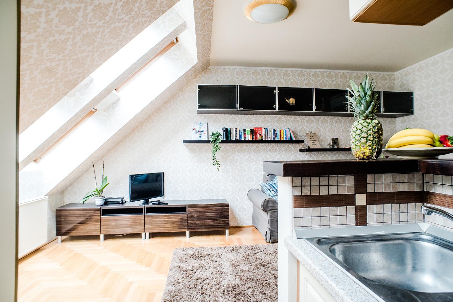Hollo Apartment - PRIVATE GARAGE - A/C view 4