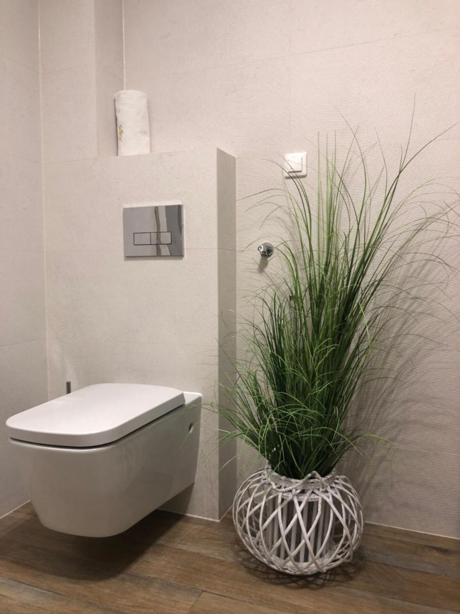 Apartament Homole F1 view 2