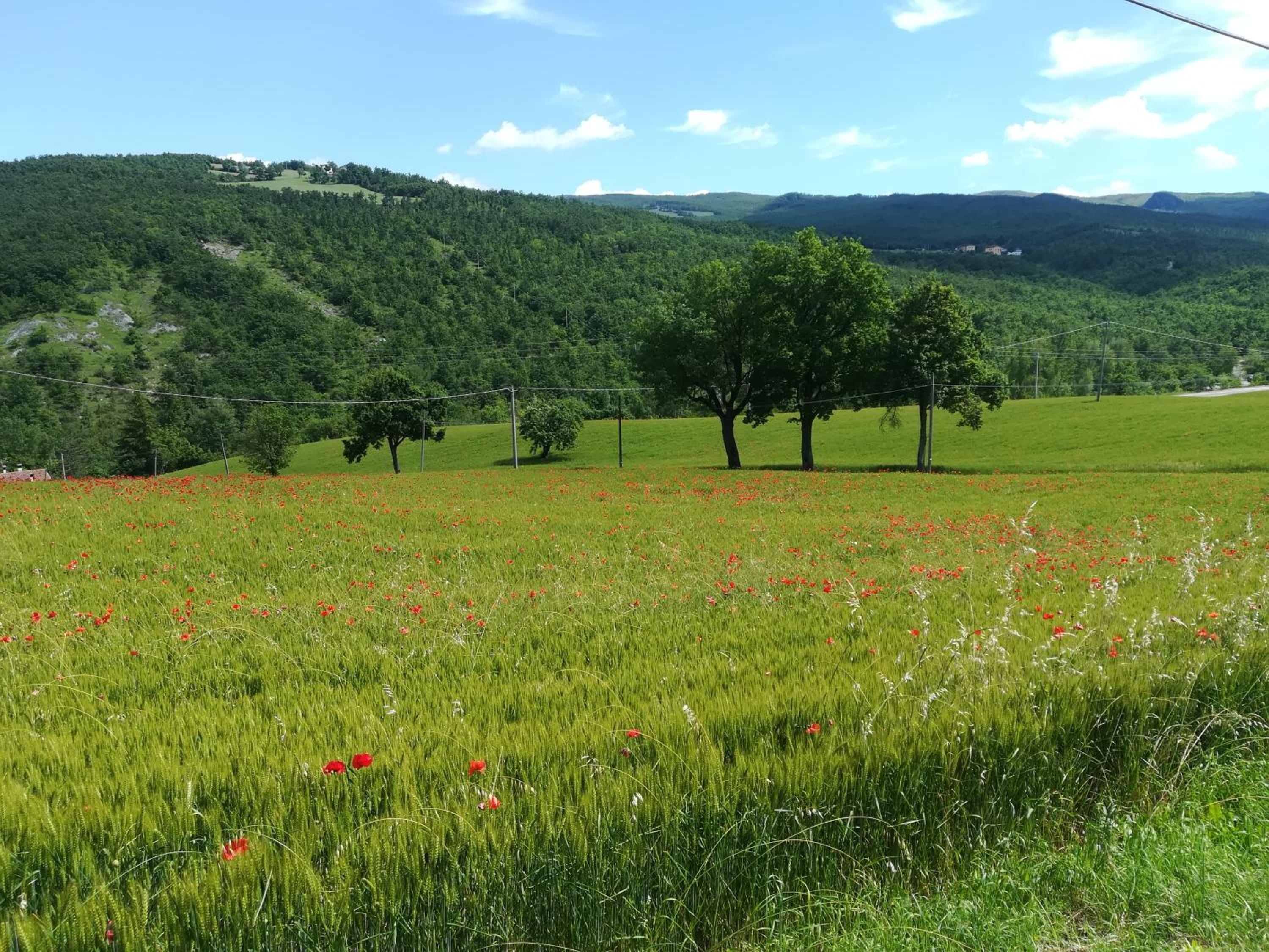 la cartiera dei benandanti