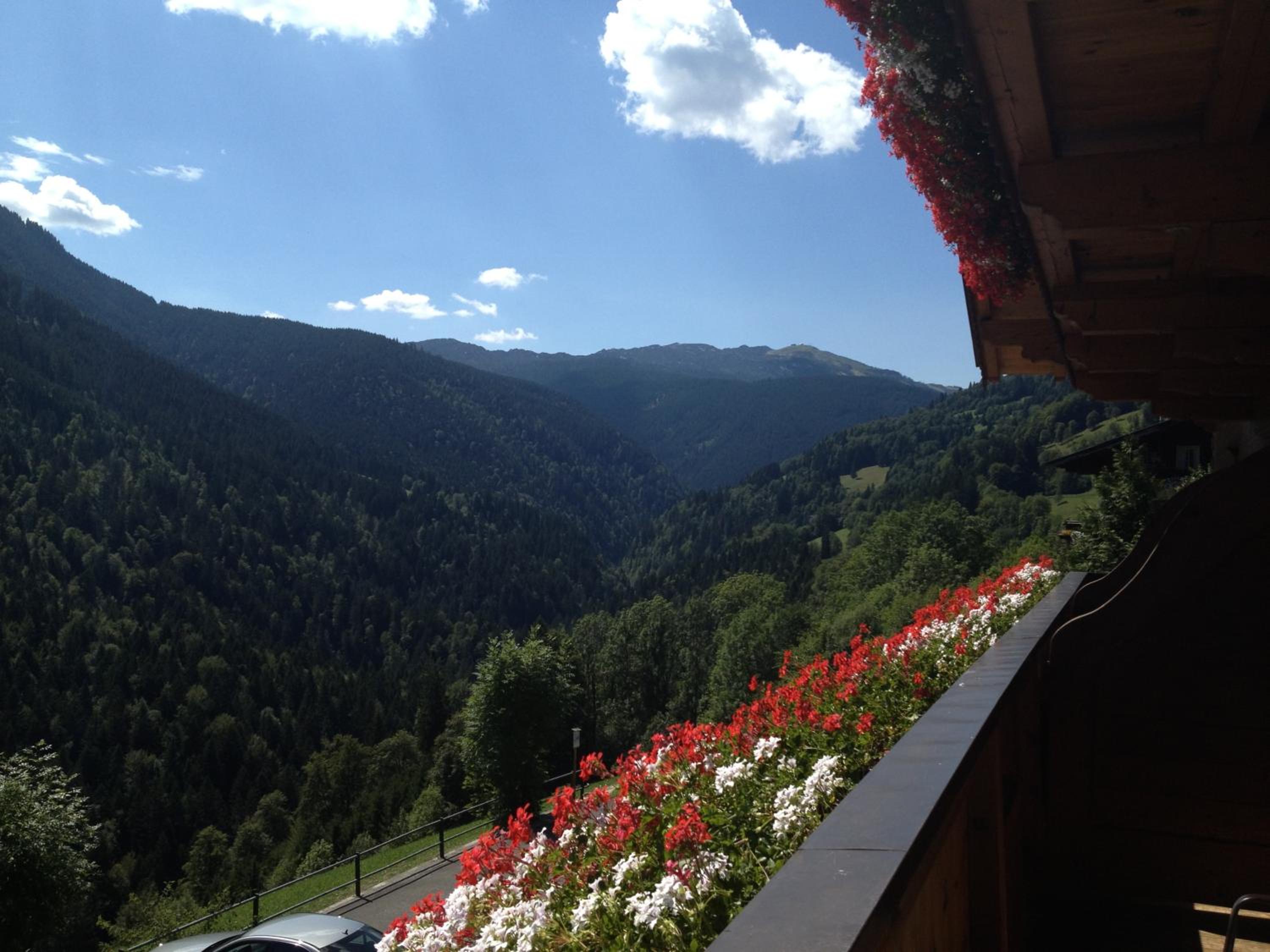 Berggasthof Hintergföll view 5