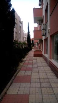 Photo 31