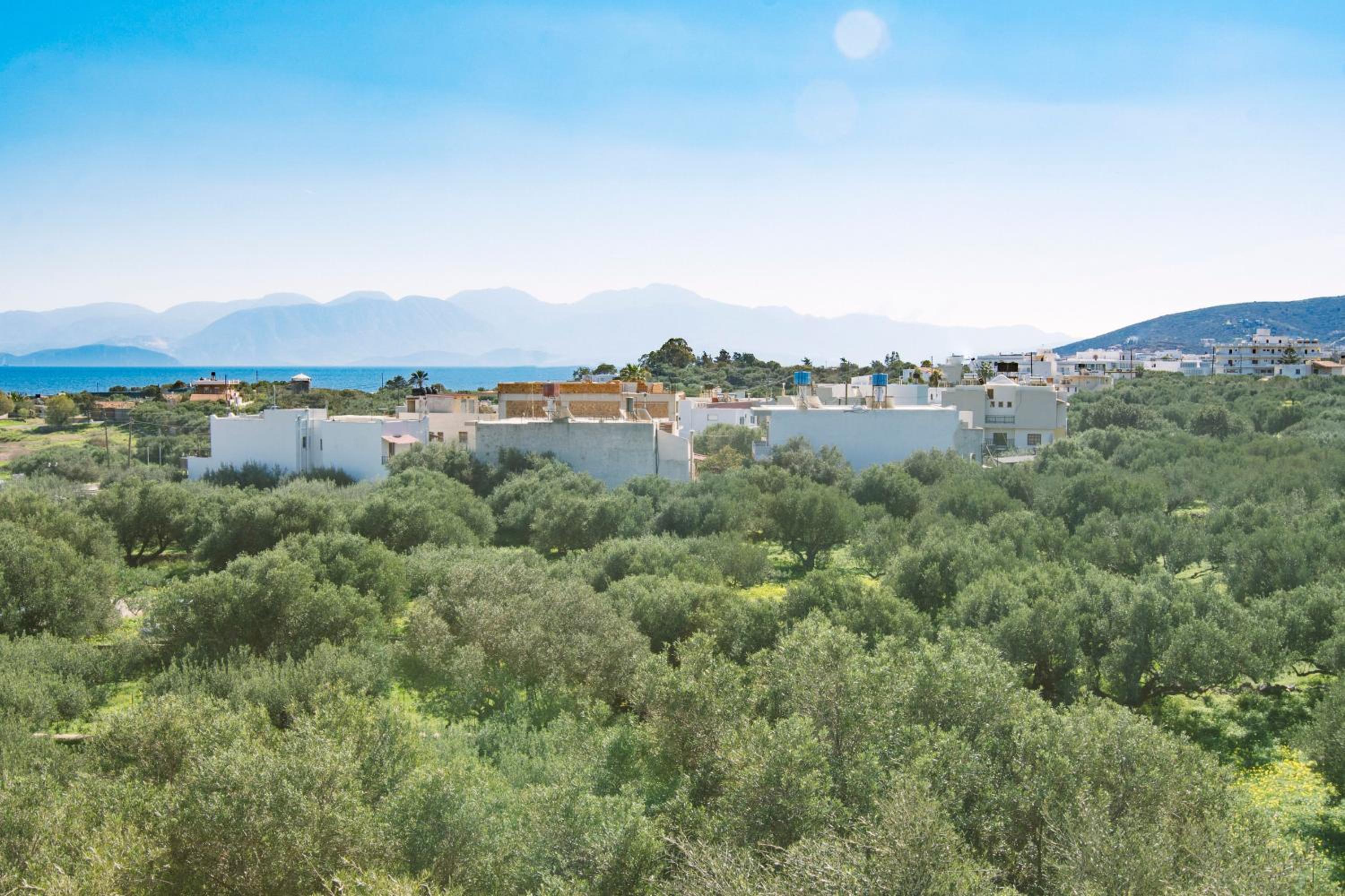 Elounda George Studios en Elounda