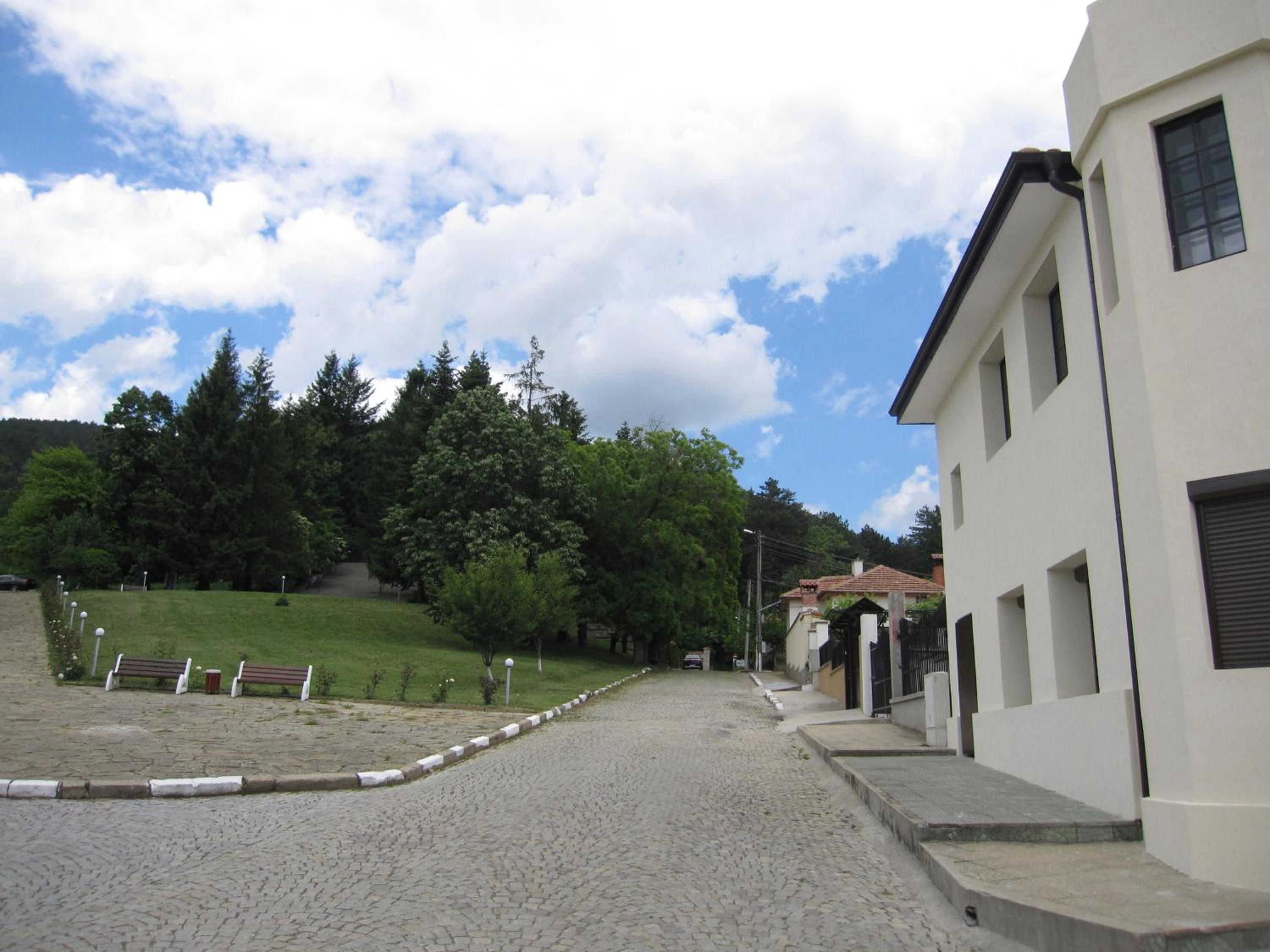Photo 44