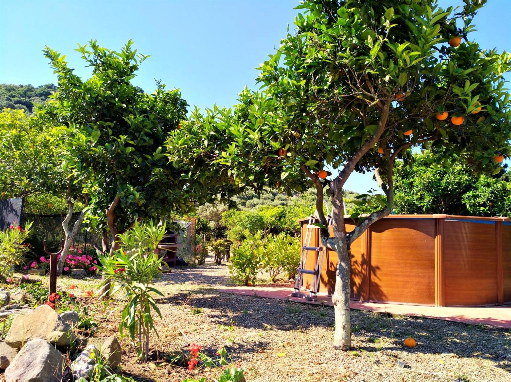 Agriturismo Aiolia - Panorama Eolie view 5