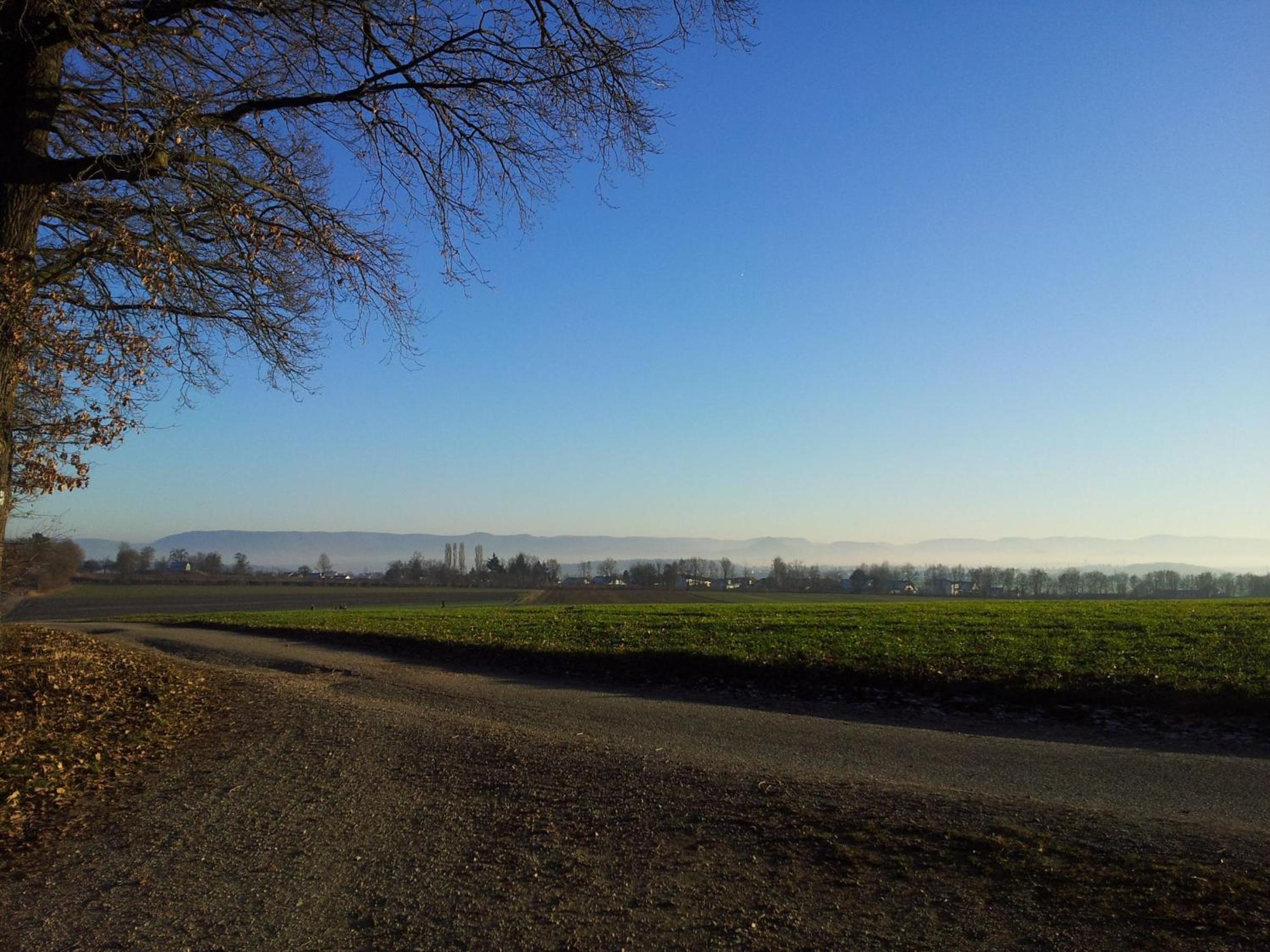 Schoenbuchjuwel view 2