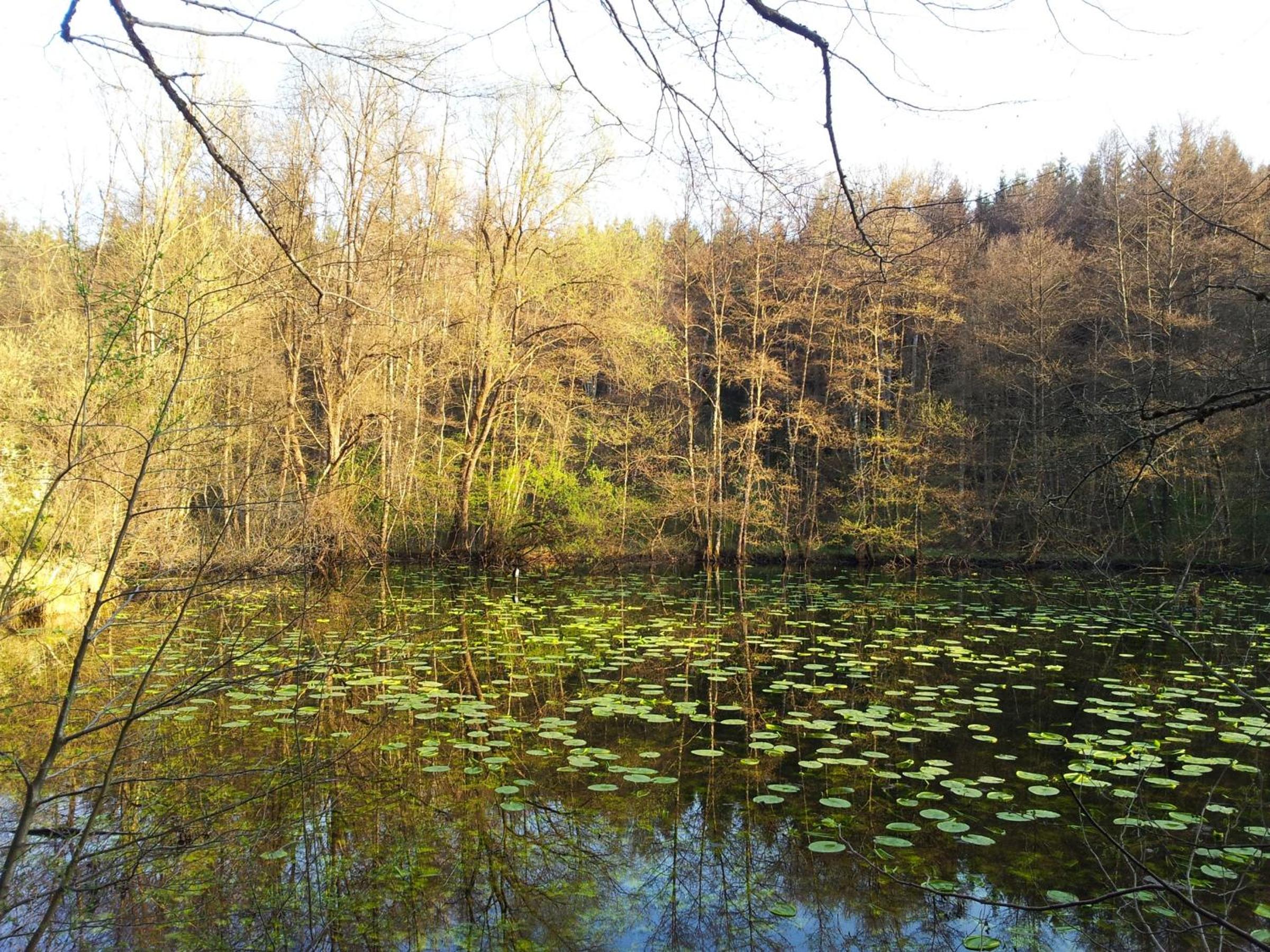 Photo 15