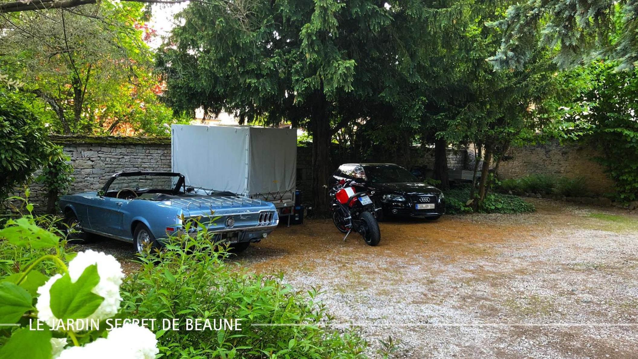 Photo 25