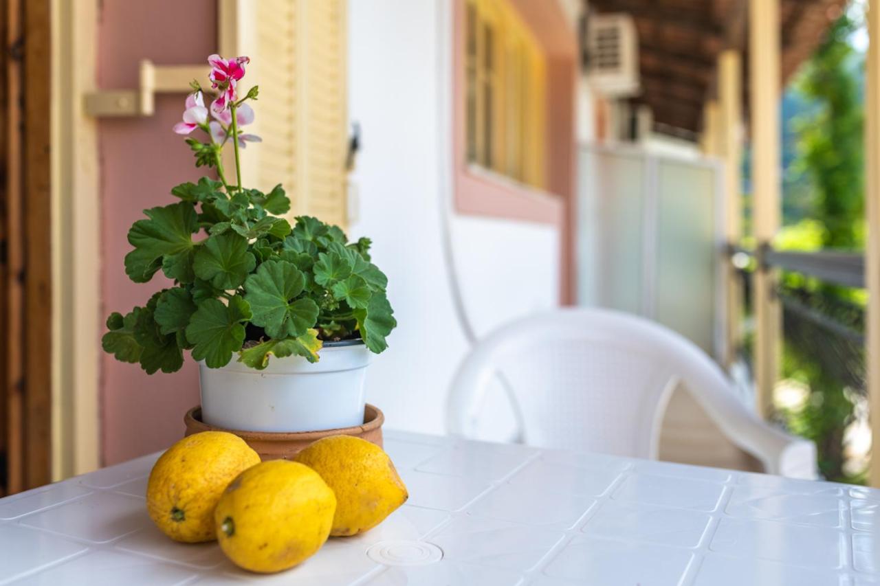 Anthi Studios & Apartments