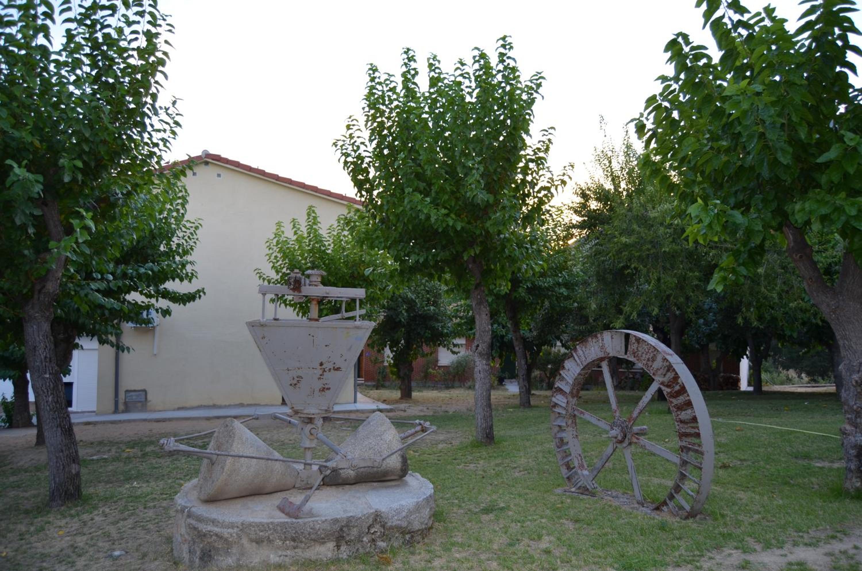 Photo 31