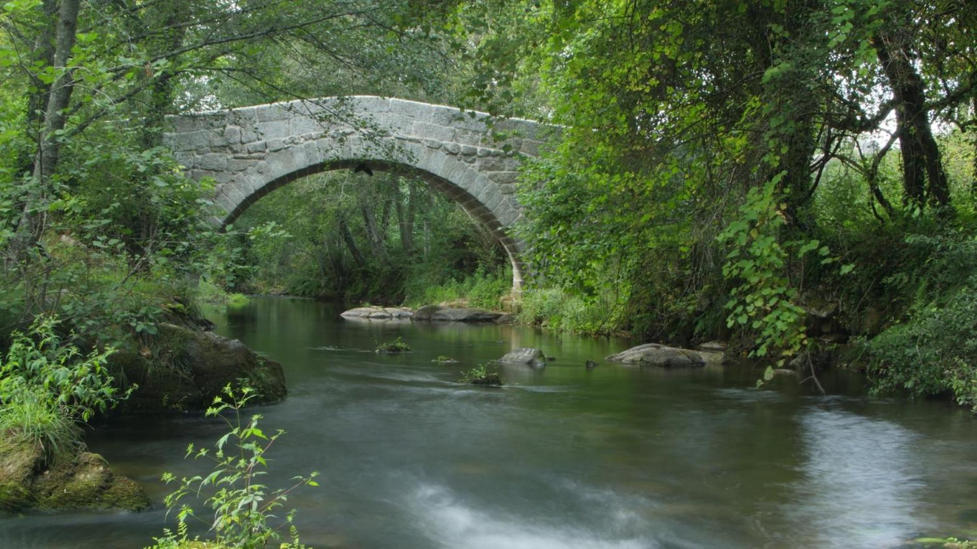 Photo 45