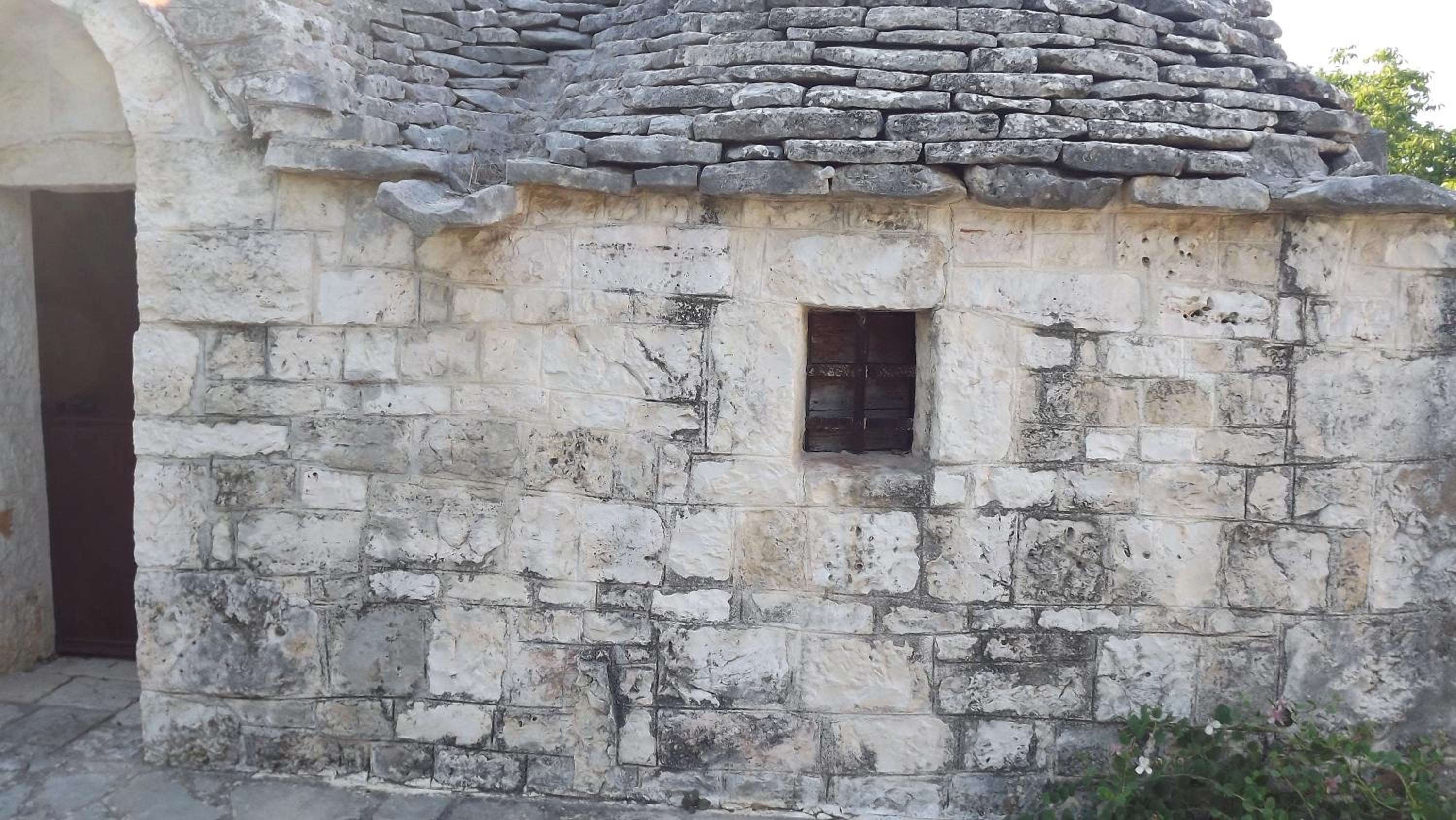 Photo 45