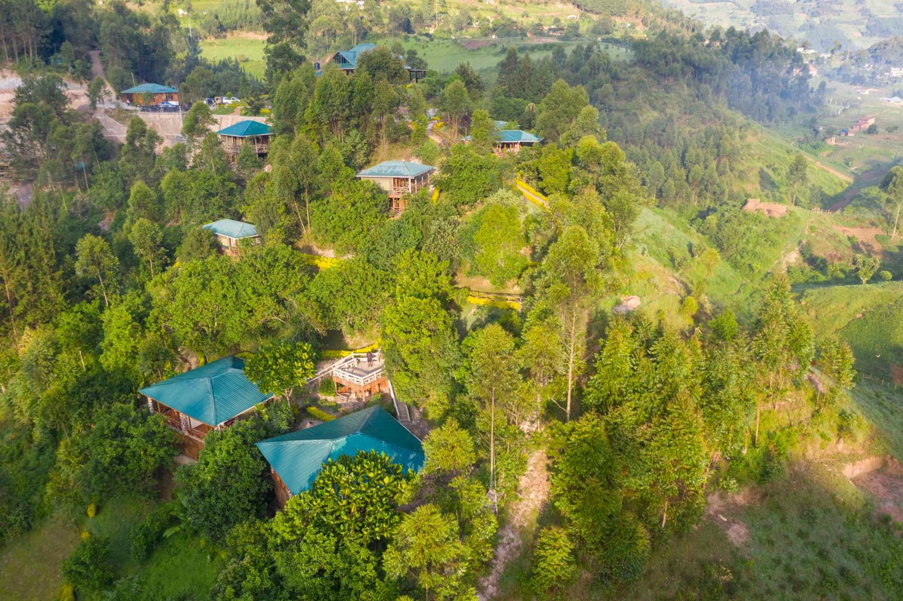 Rushaga Gorilla Lodge