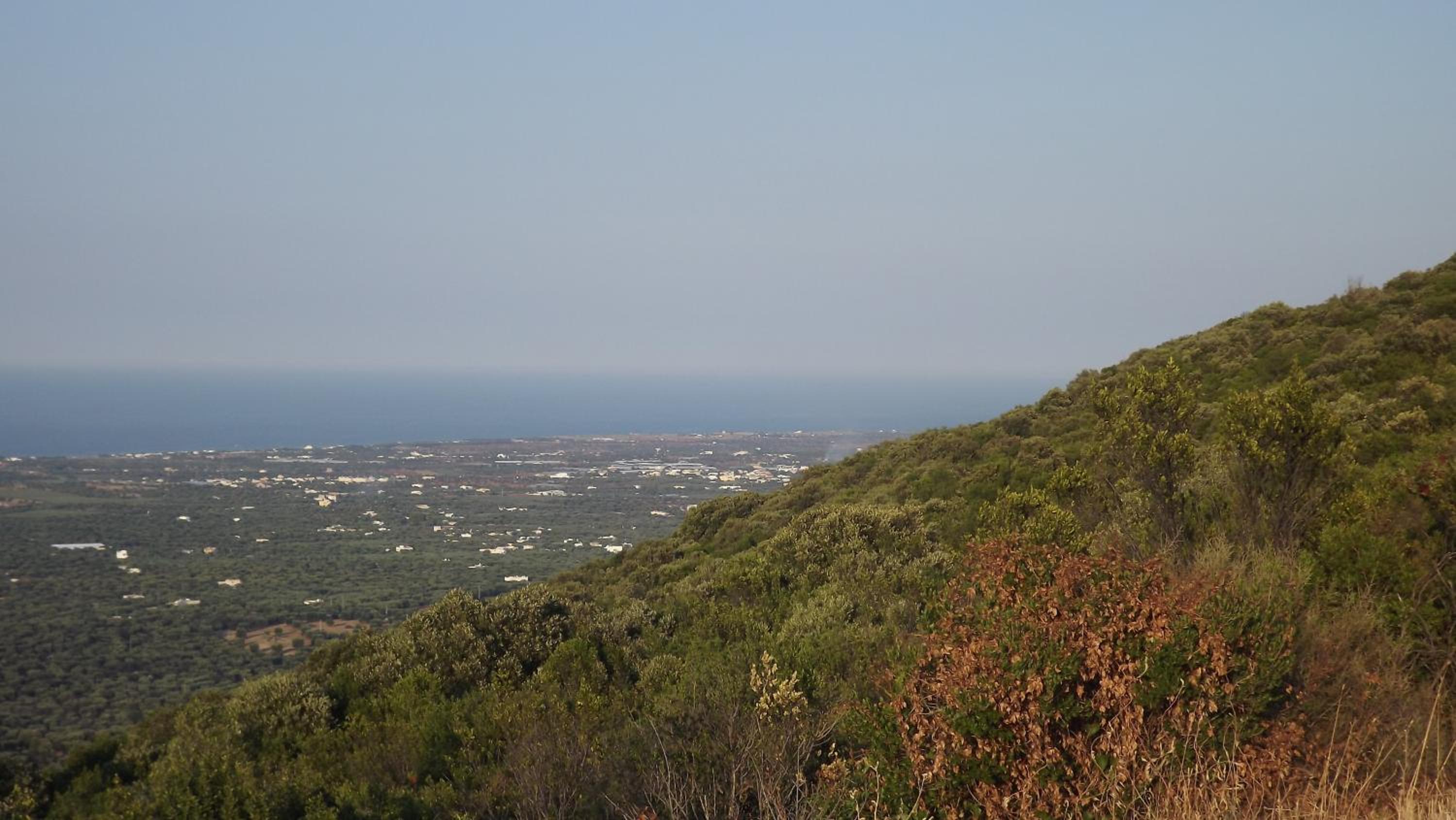 Photo 47