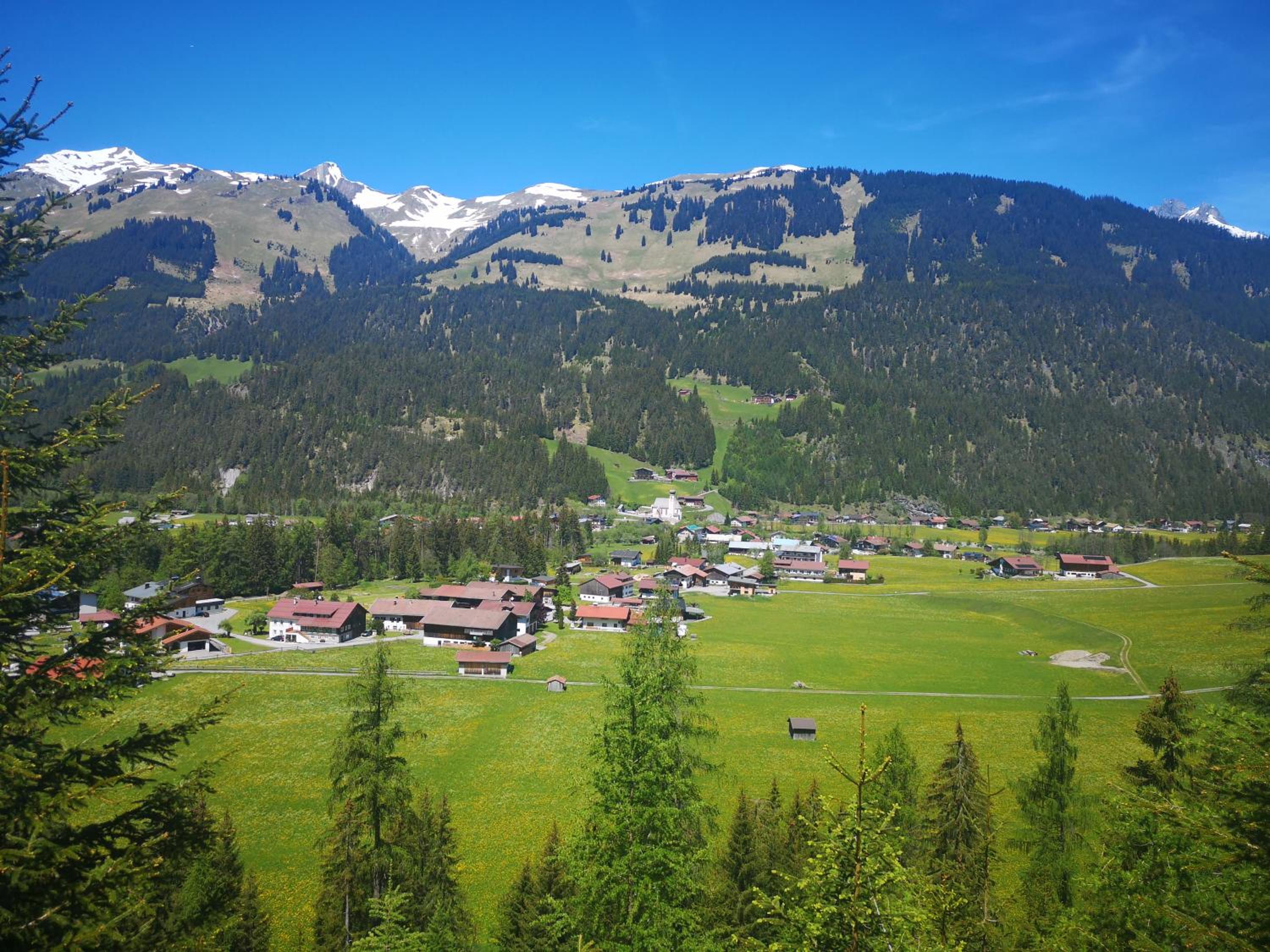 De Nussi's Chalet 1