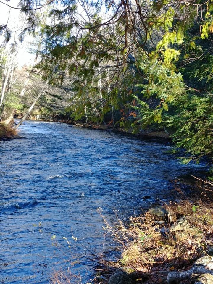Dwight Riverside Inn