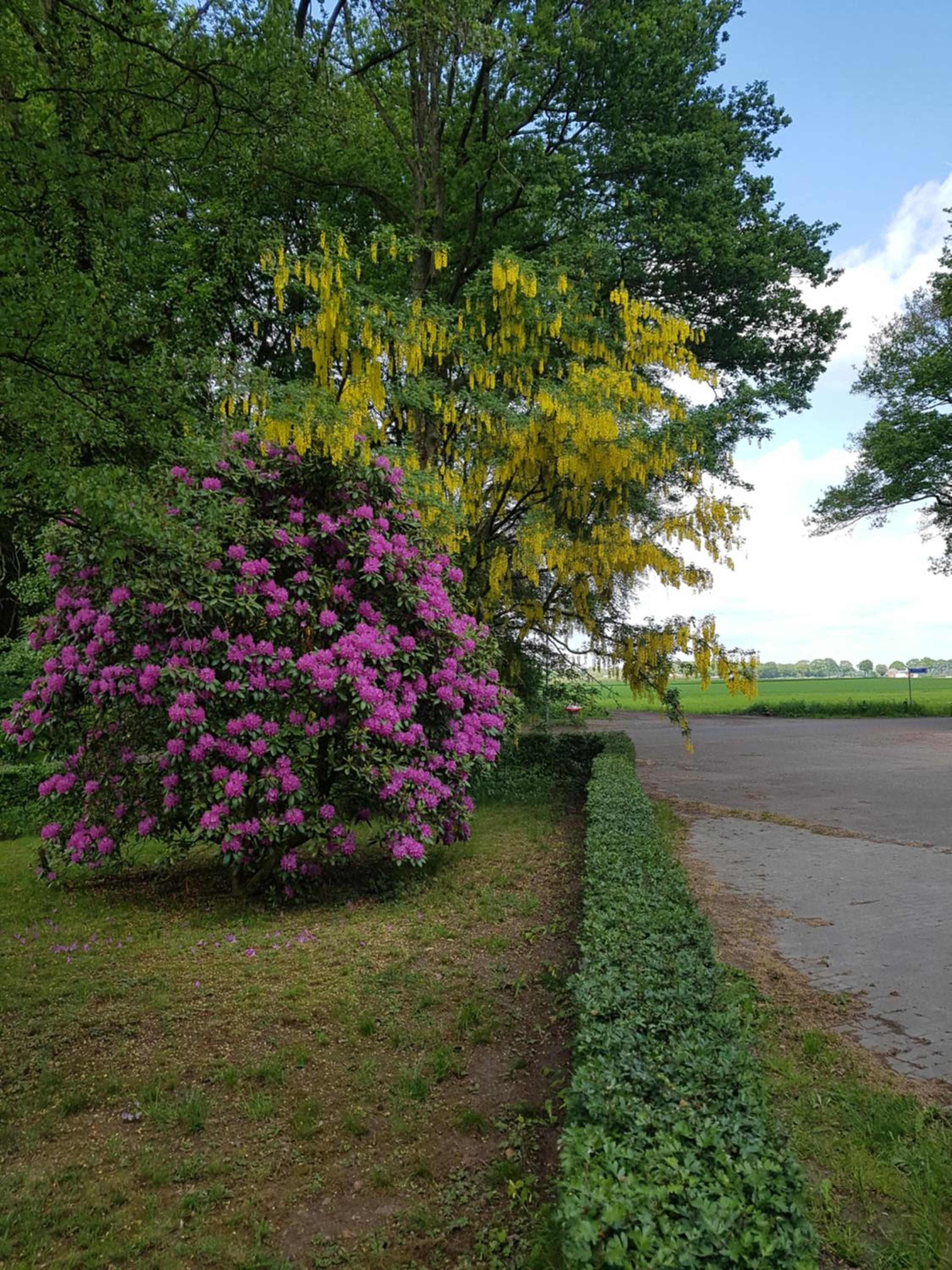 B&B de Panheide